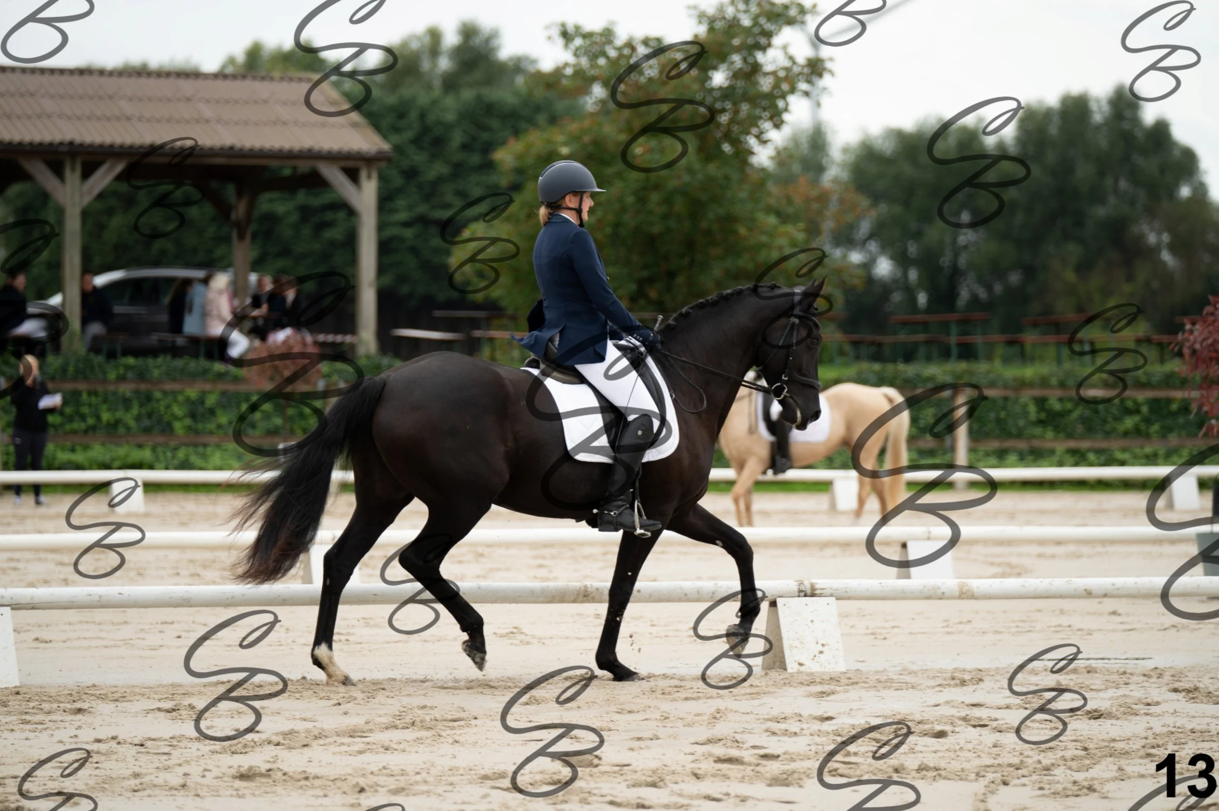 2026.09.20 - Catherine-13.jpg