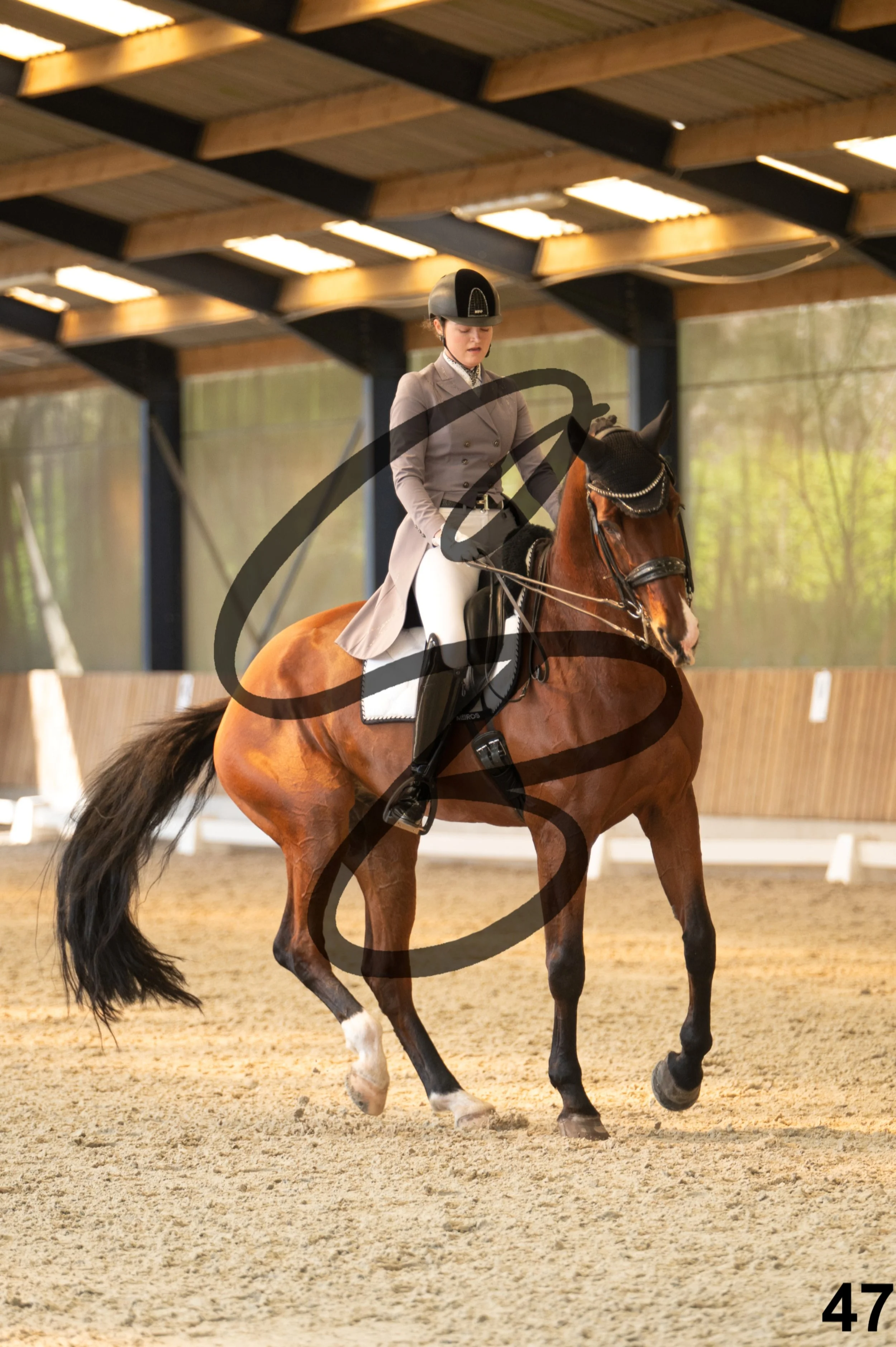 2026.03.22 - Niv5 - Young rider team-47.jpg