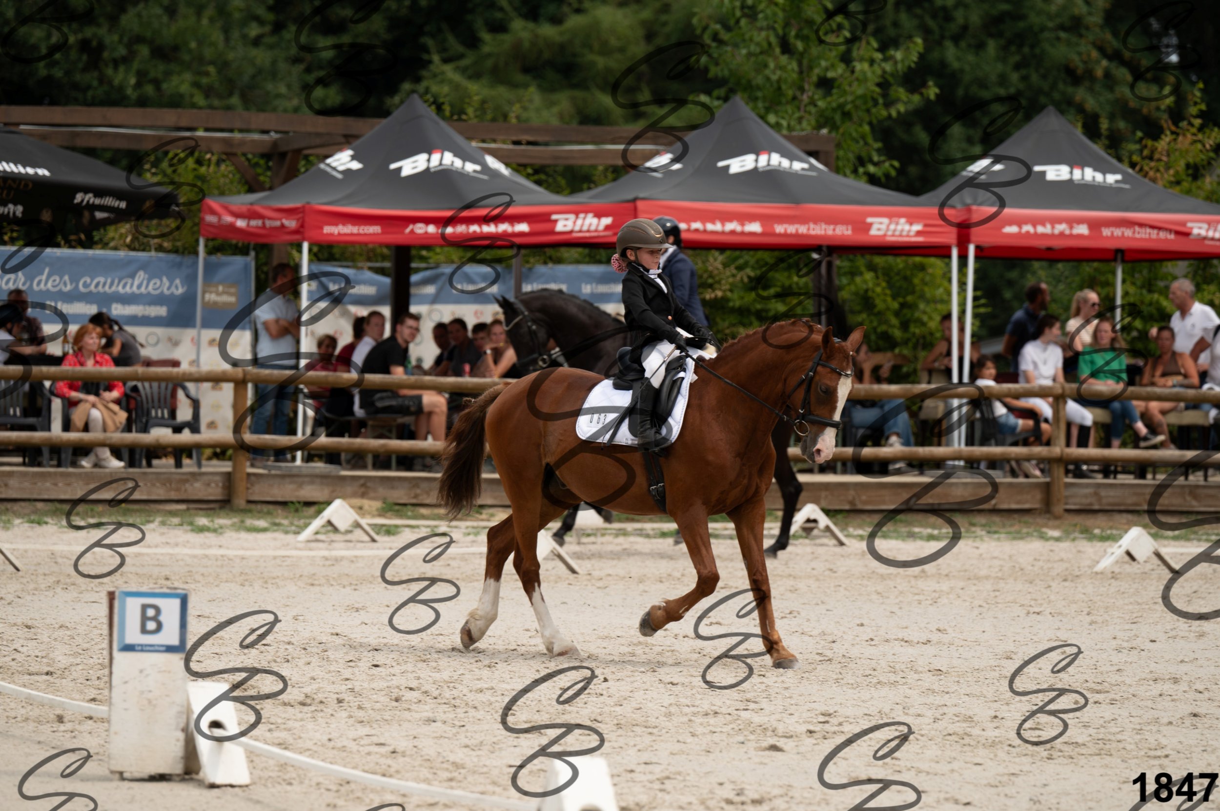 2026.08.16 - Louchier - GHO-33.jpg