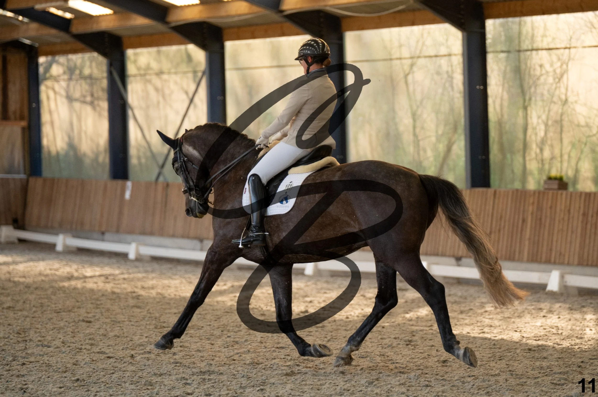 2026.03.22 - niv4.2-11.jpg