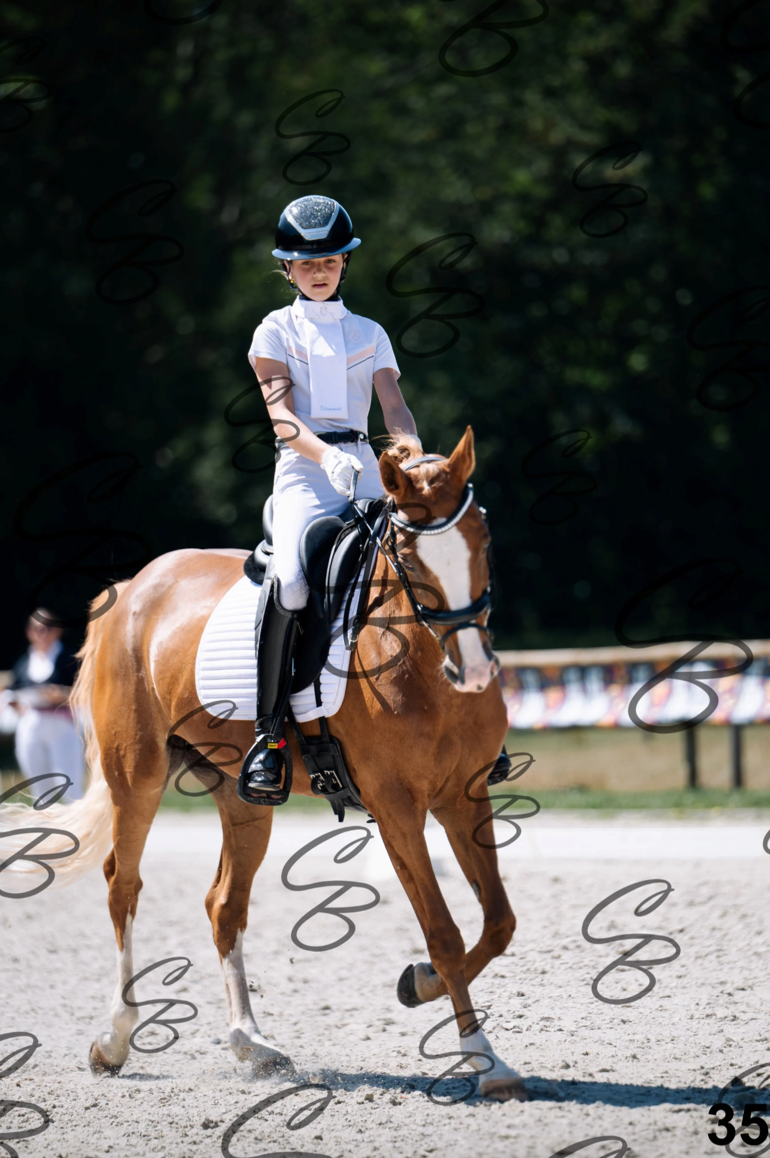 2026.07.12 - Niveau 2 - N2.4-35.jpg