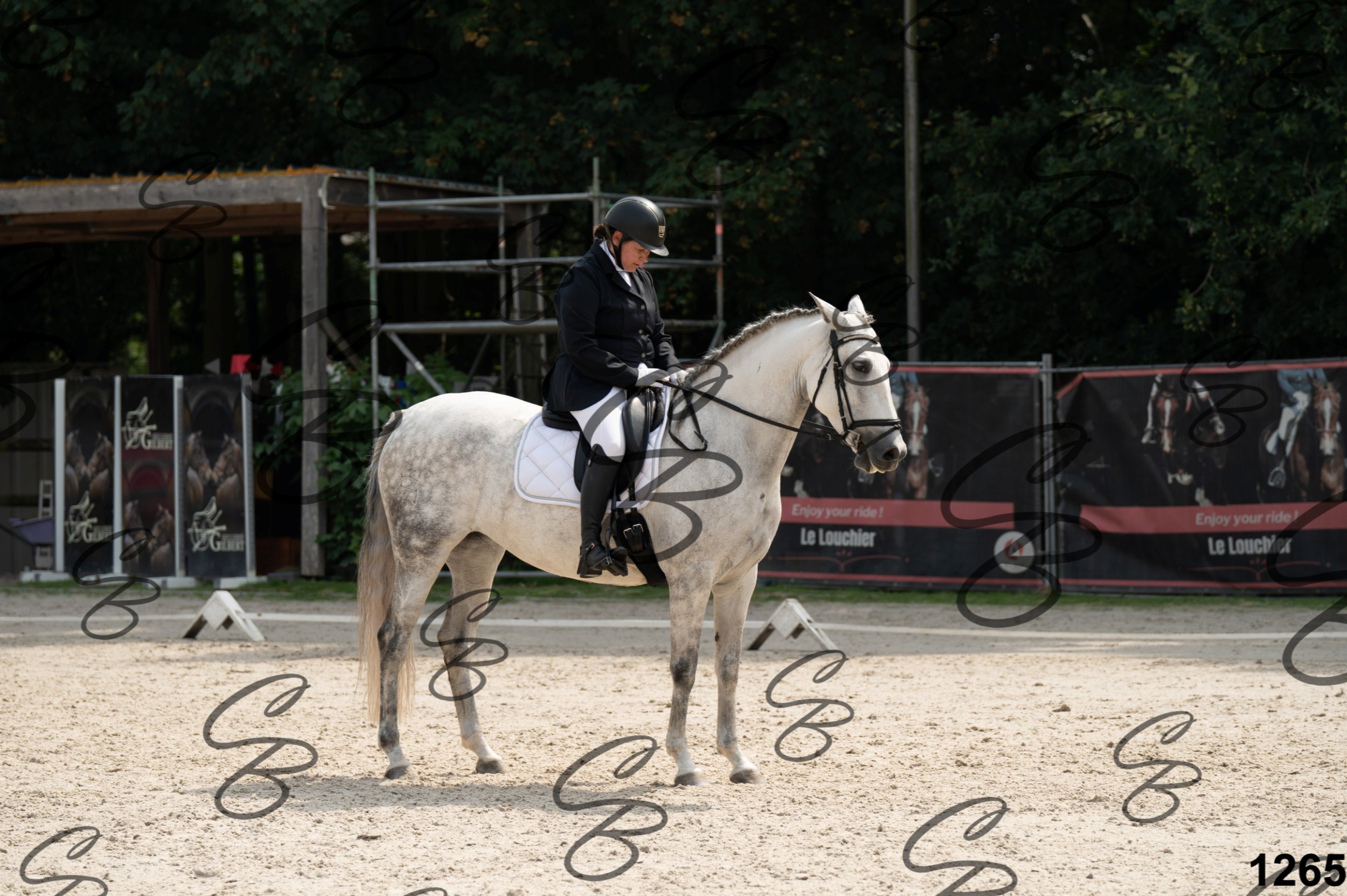 2026.08.15 - Louchier - GHO-1121.jpg