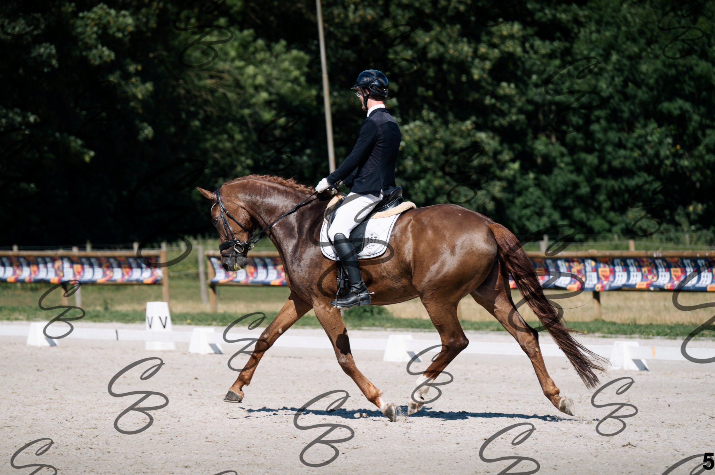2026.07.12 - Niveau 4 - N4.3-5.jpg