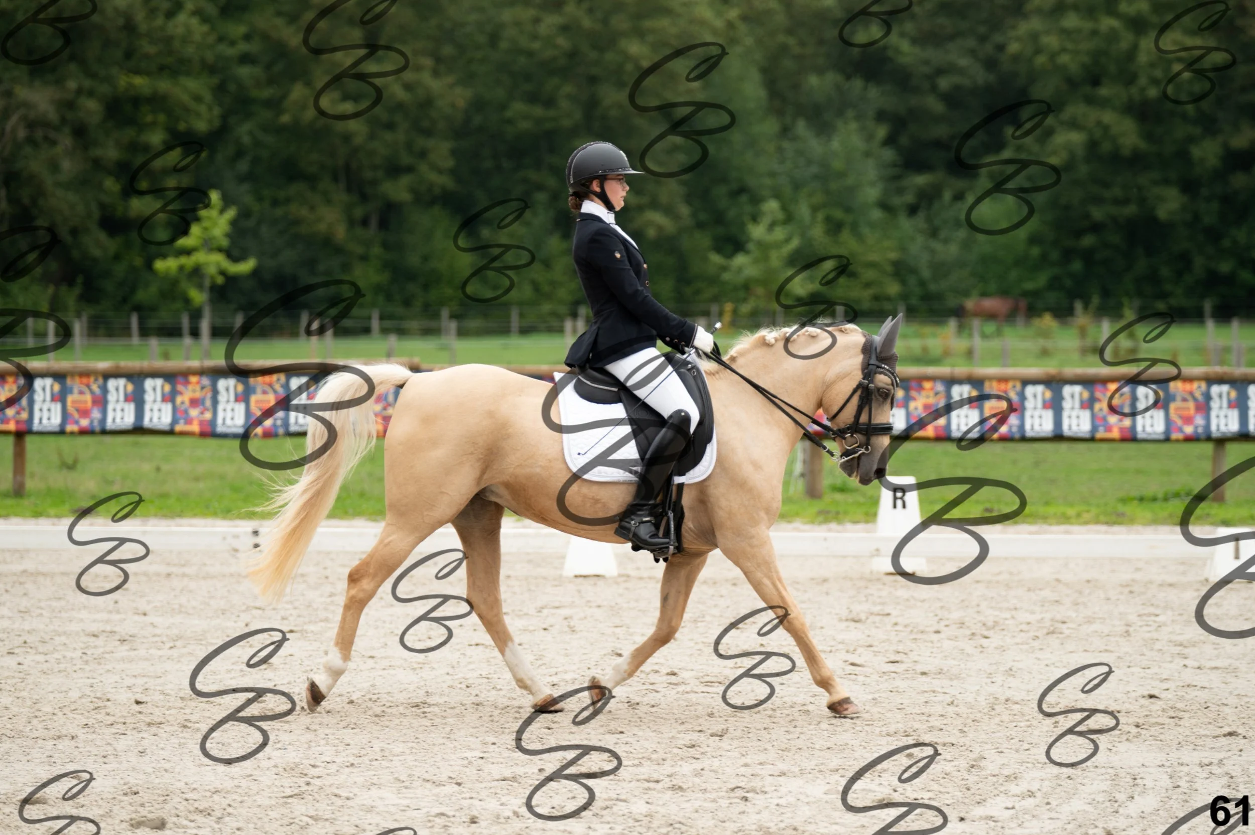 2026.09.13 - Alyssia-61.jpg