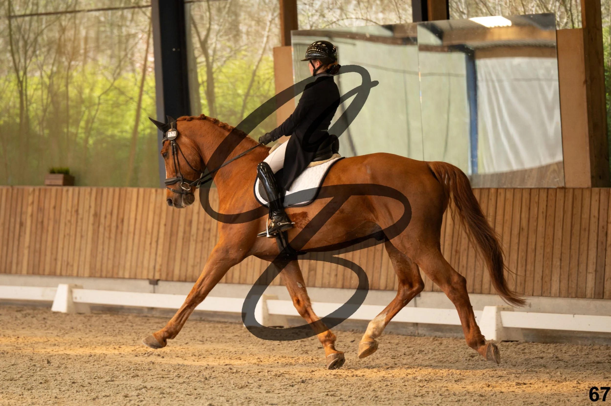 2026.03.22 - Niv4 - junior team test-67.jpg