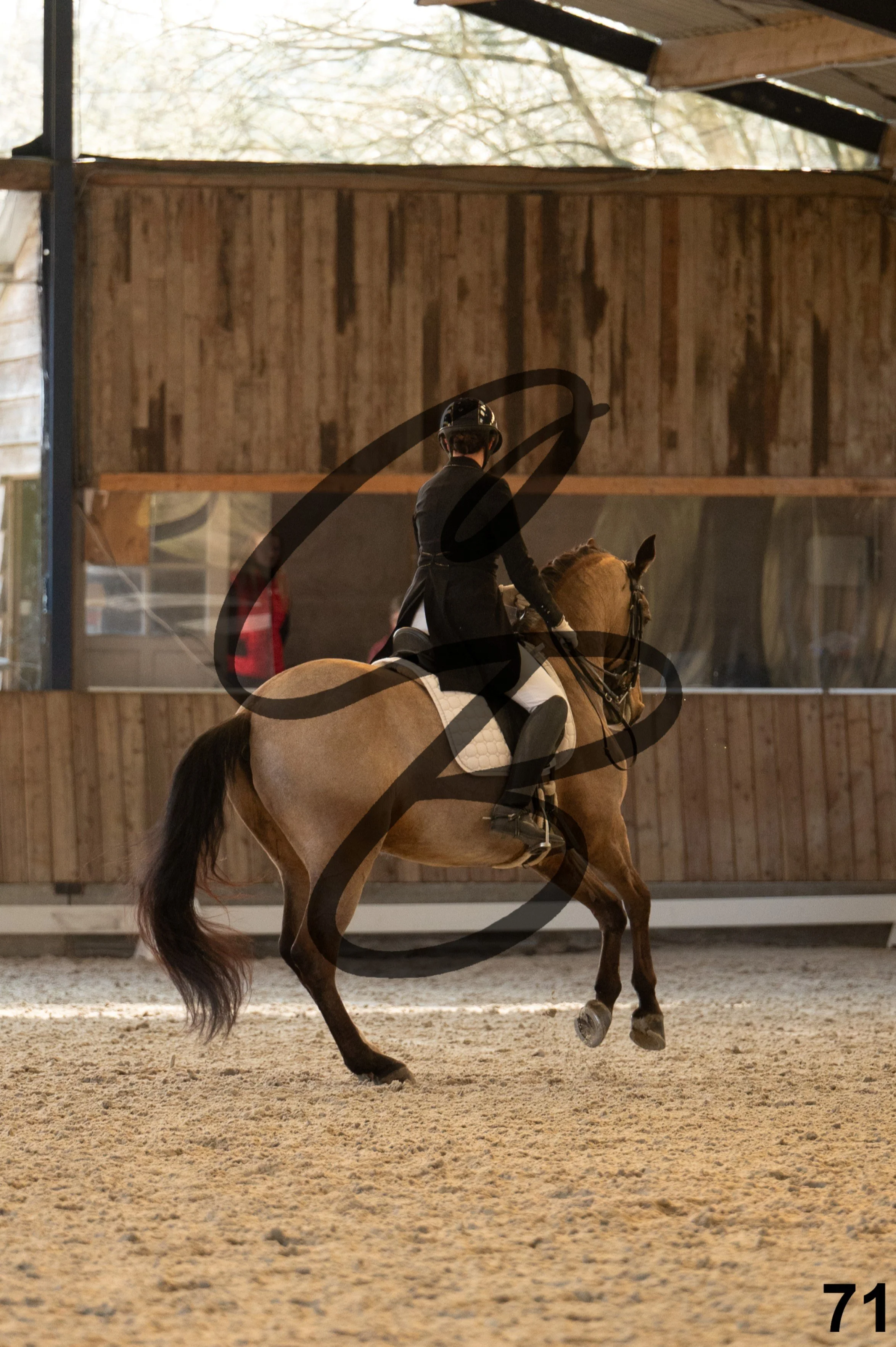 2026.03.22 - grand prix-71.jpg