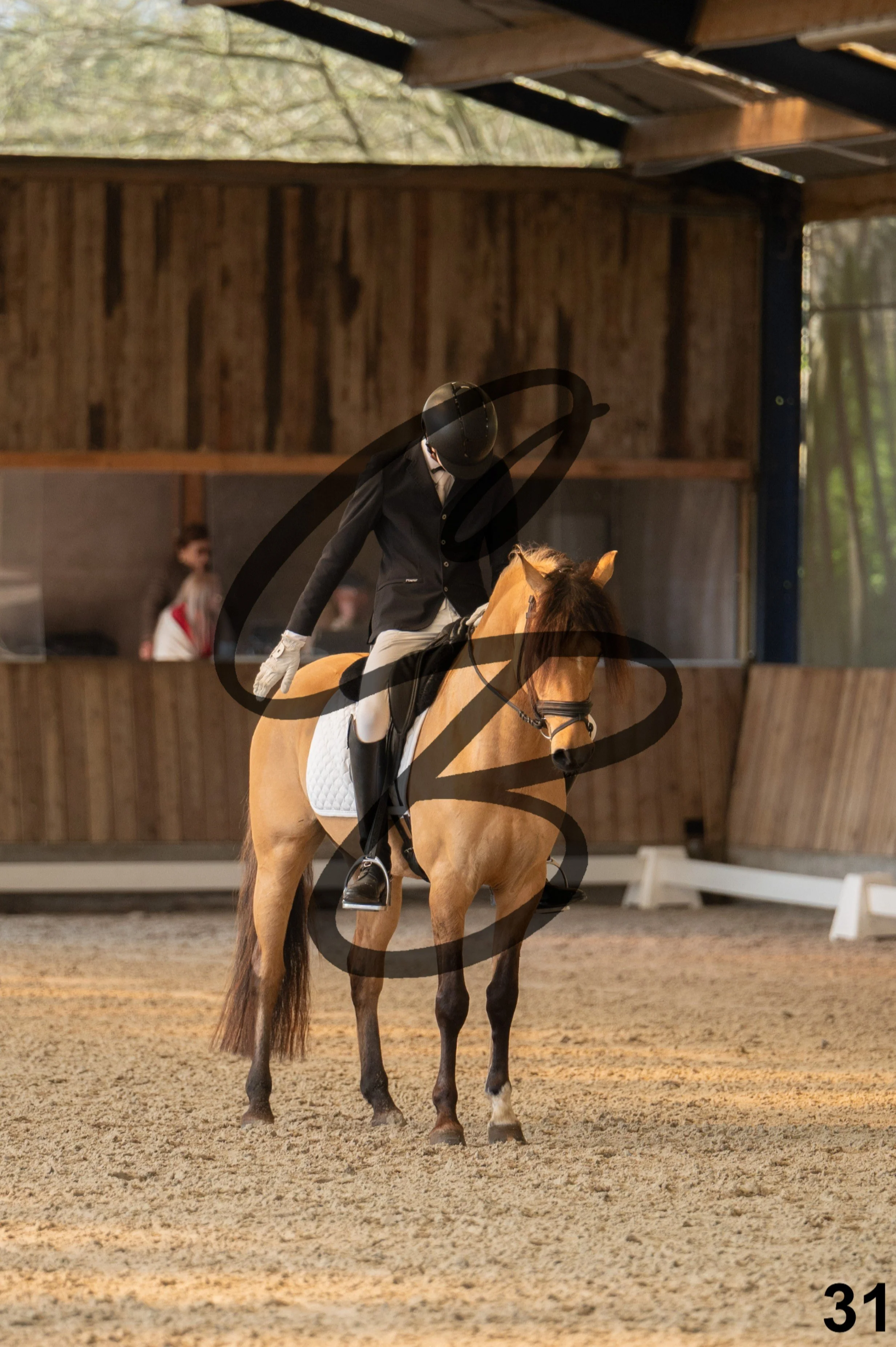 2026.03.22 - Niv3 - pony team test-31.jpg