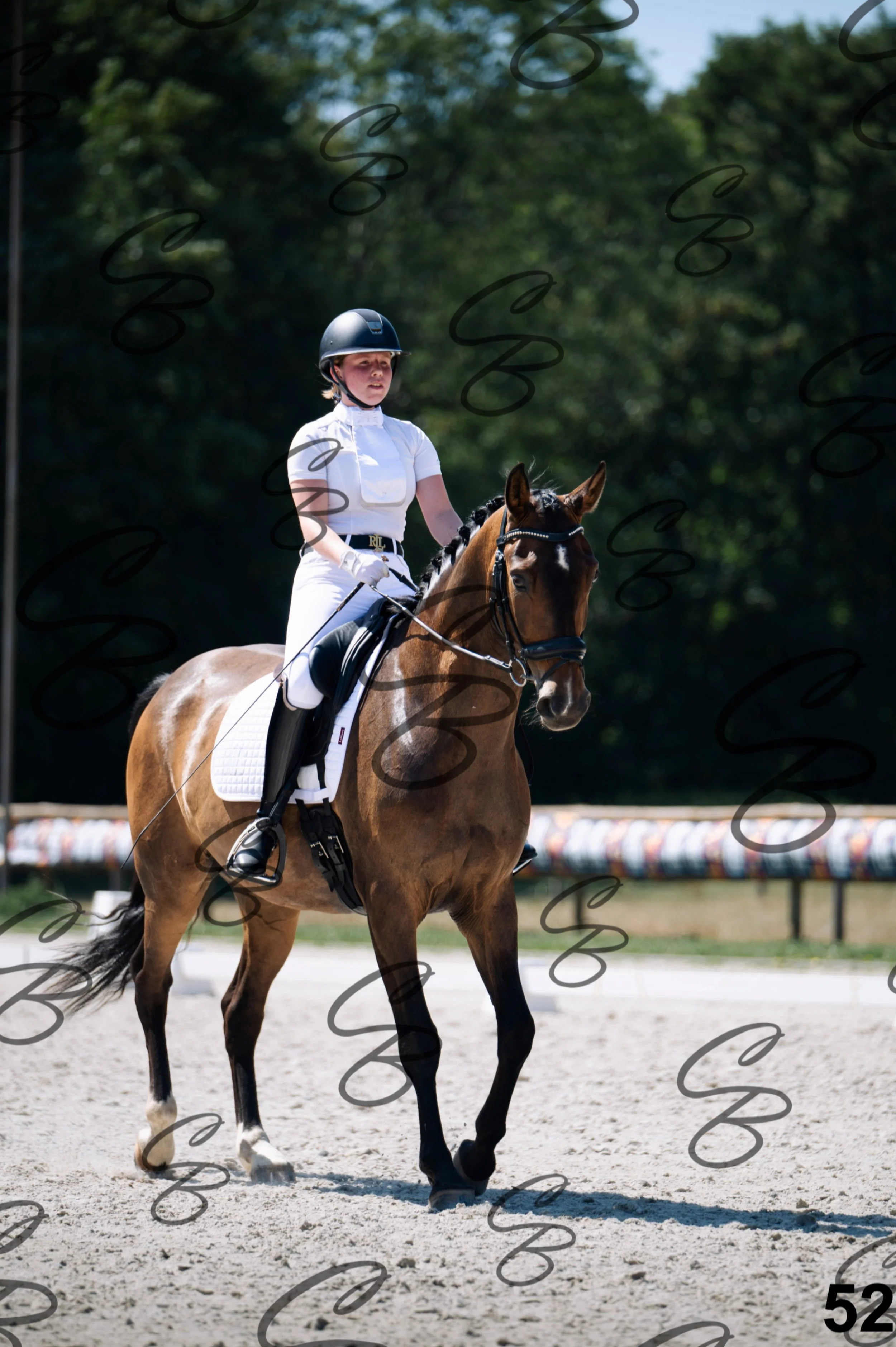 2026.07.12 - Niveau 2 - N2.4-52.jpg