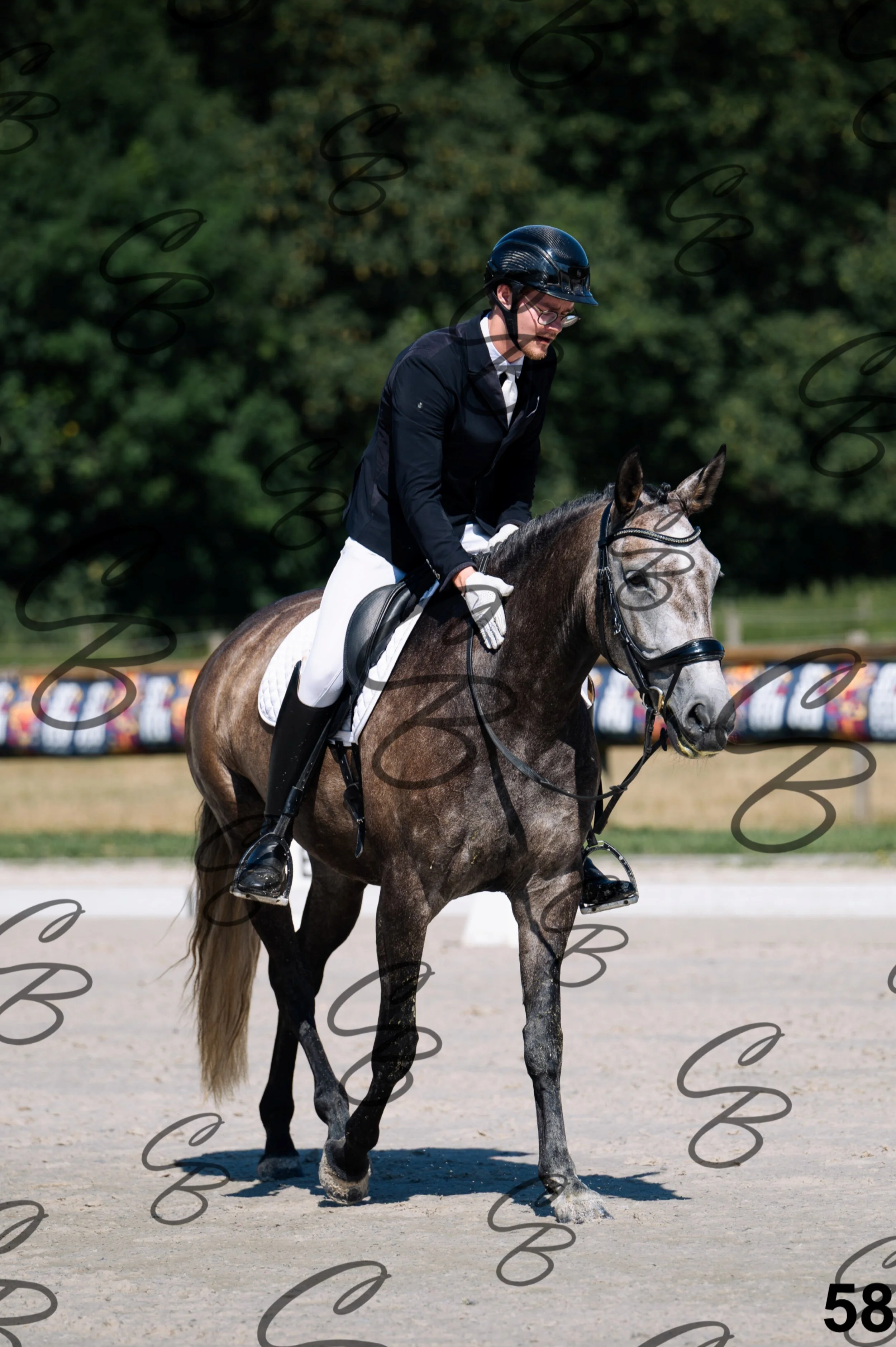 2026.07.11 - 1 Primera - Jonge paarden - Jeunes chevaux -58.jpg