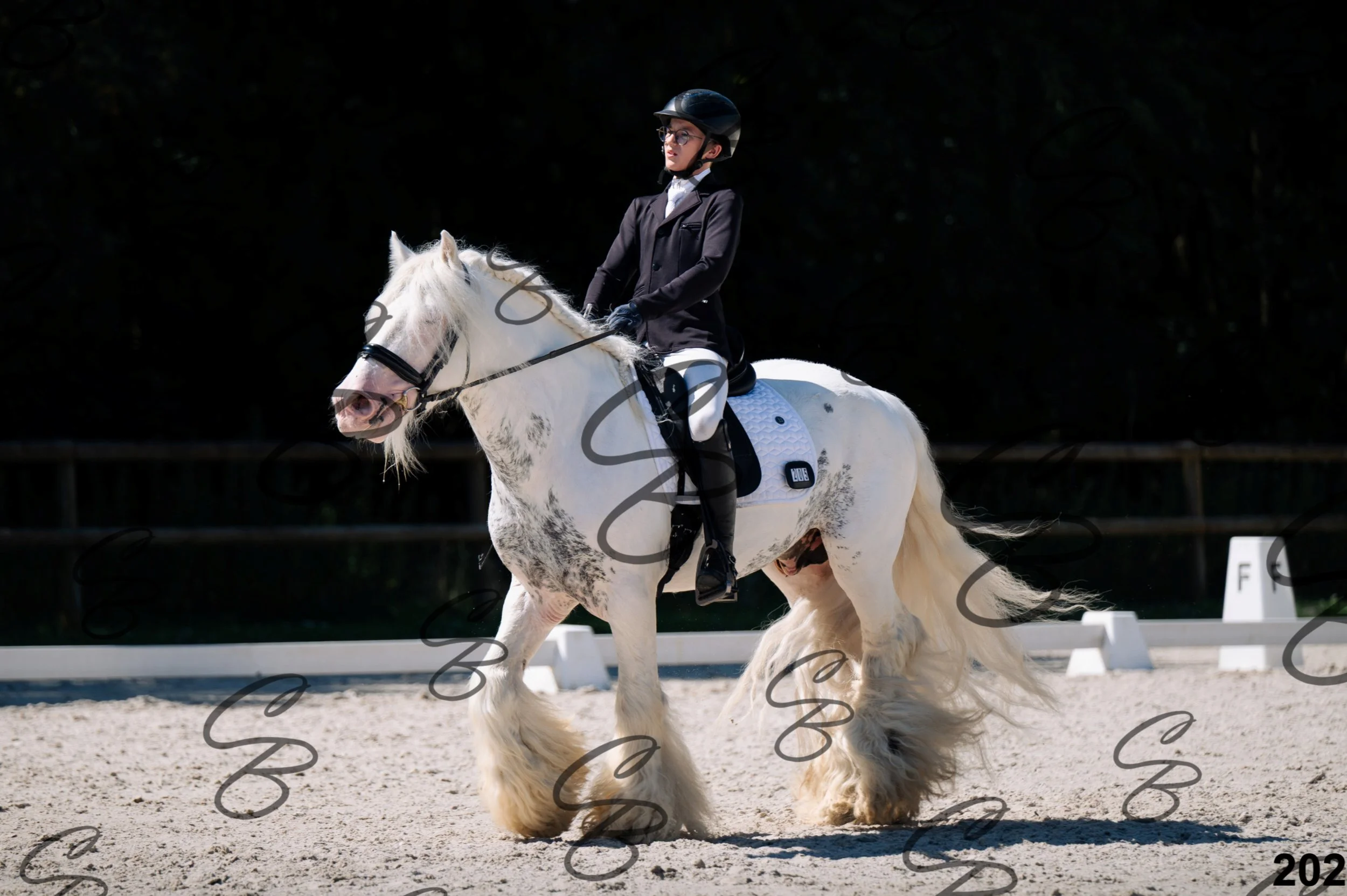 2026.07.12 -106 Niveau Initiation Poneys - Ini.6-19.jpg