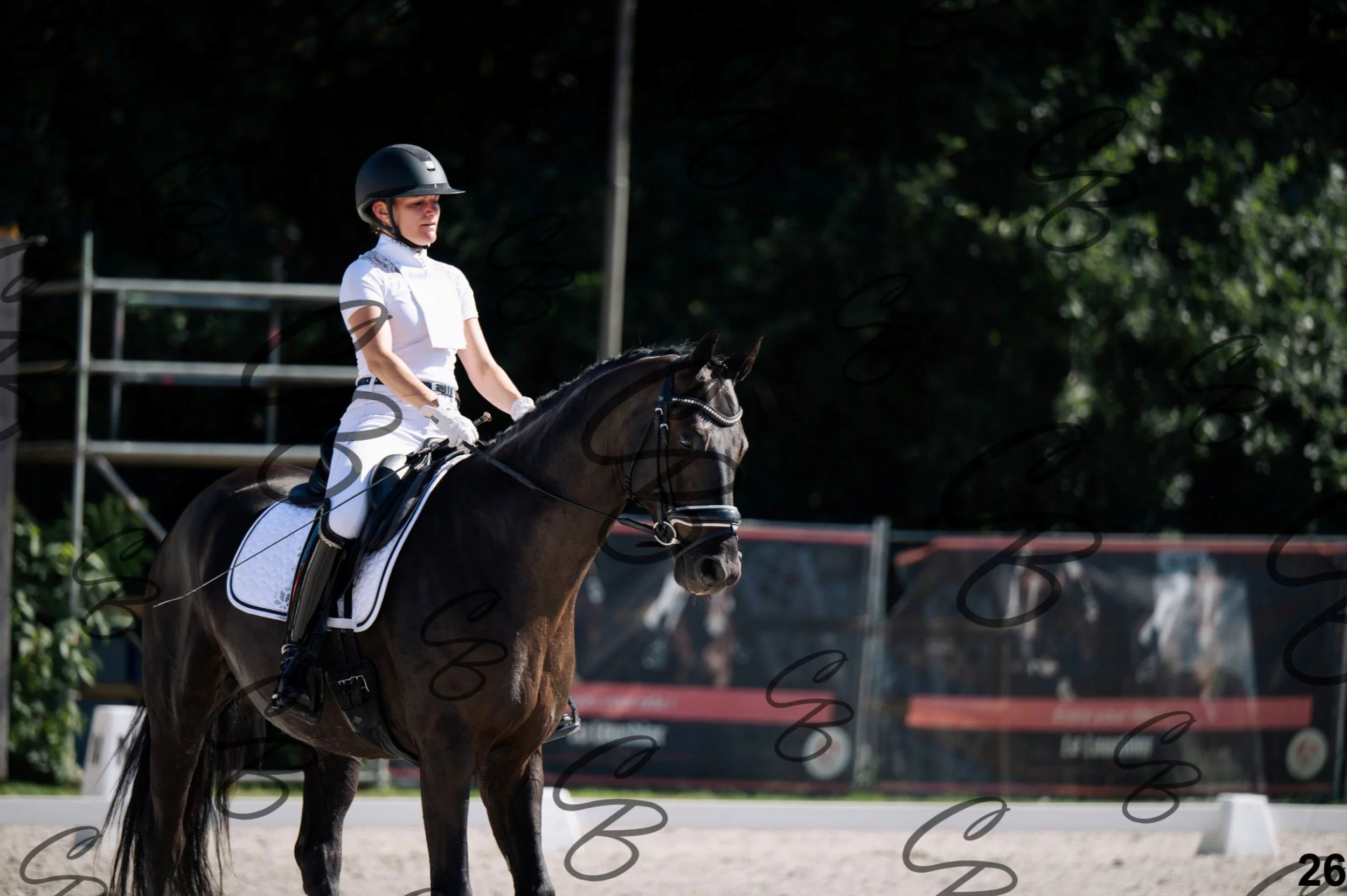 2026.07.12 - Jeunes chevaux - FEI 5YH Preliminary Test-26.jpg
