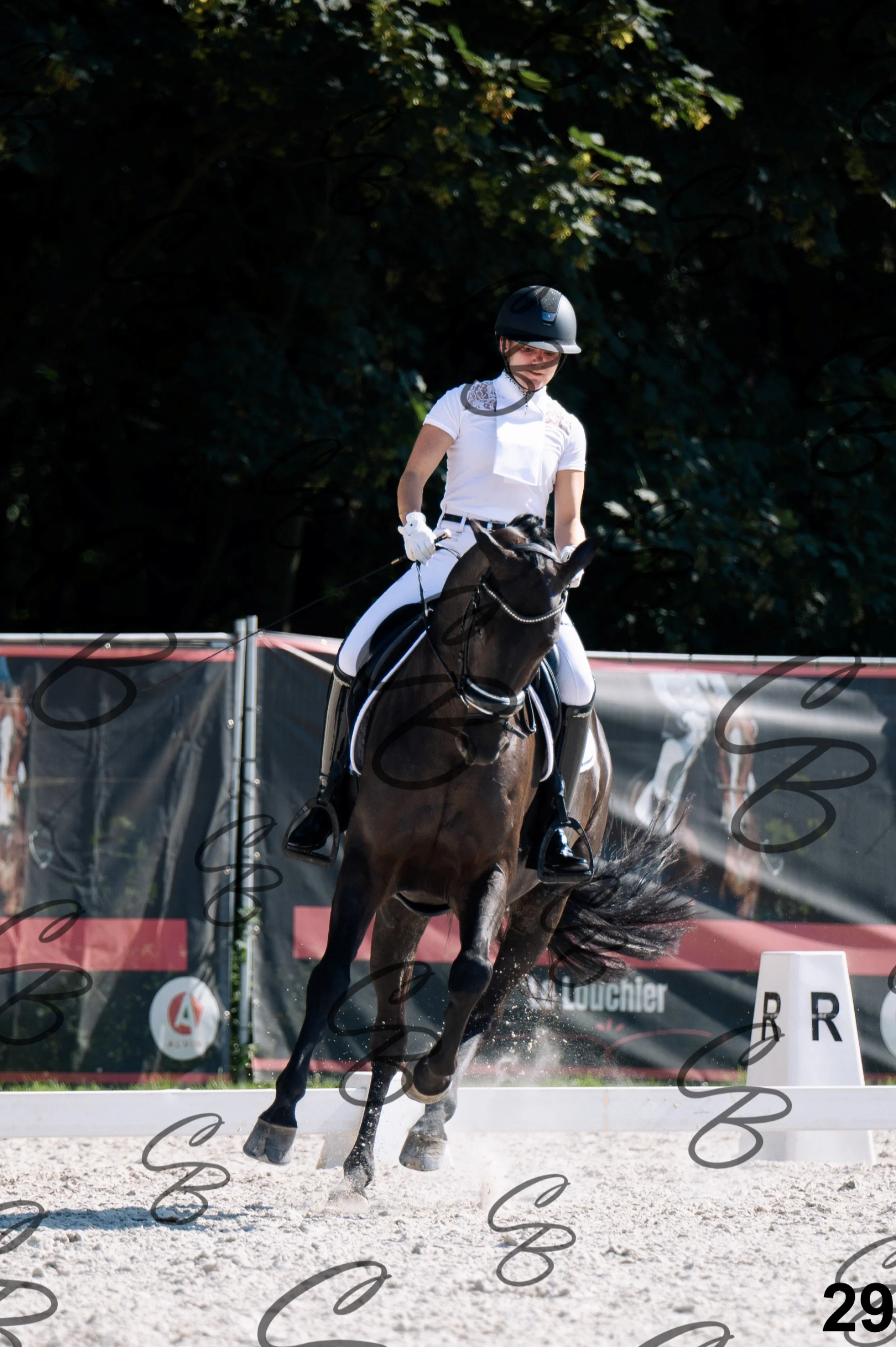 2026.07.12 - Jeunes chevaux - FEI 5YH Preliminary Test-29.jpg