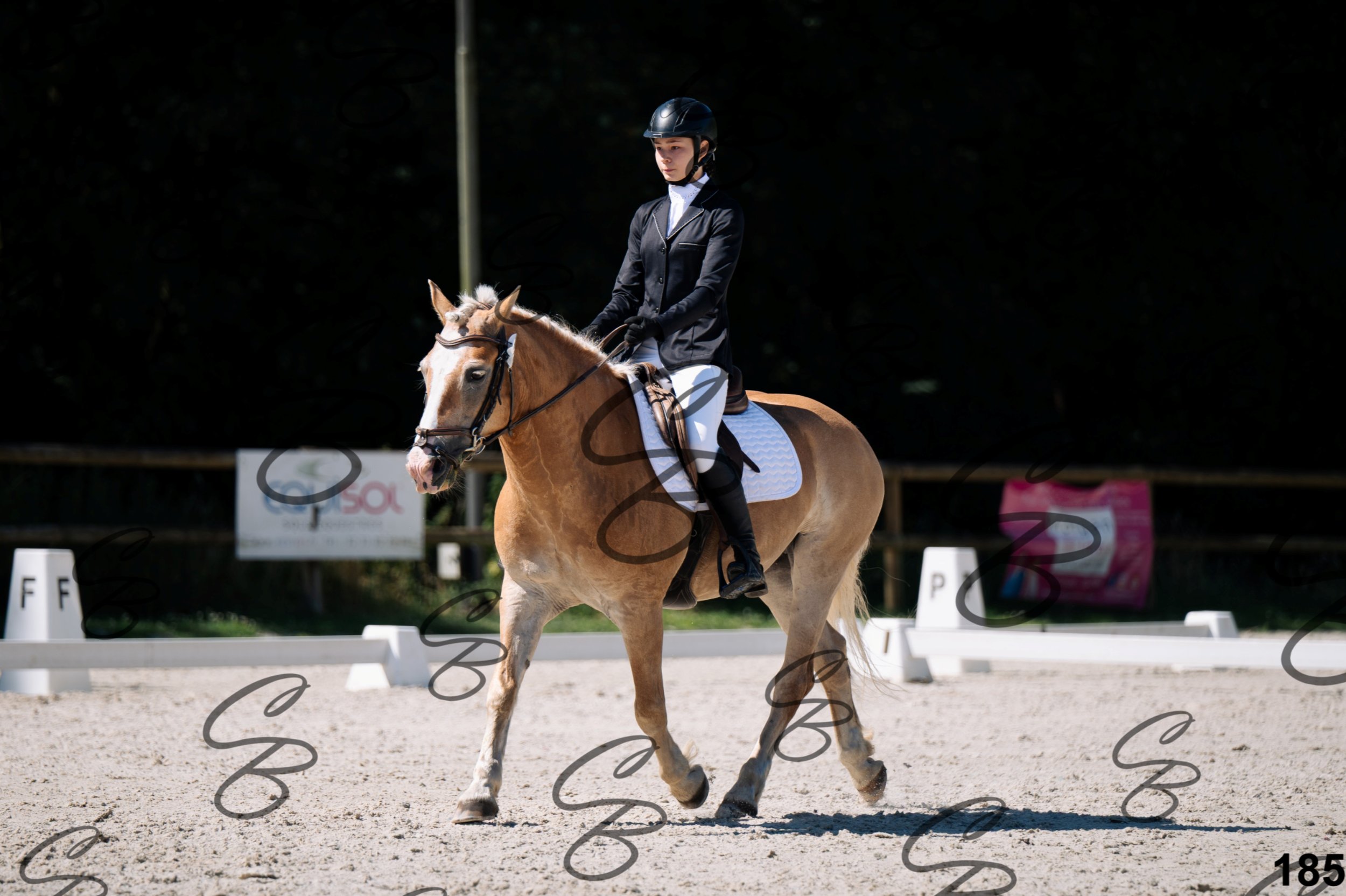 2026.07.12 -106 Niveau Initiation Poneys - Ini.6-2.jpg