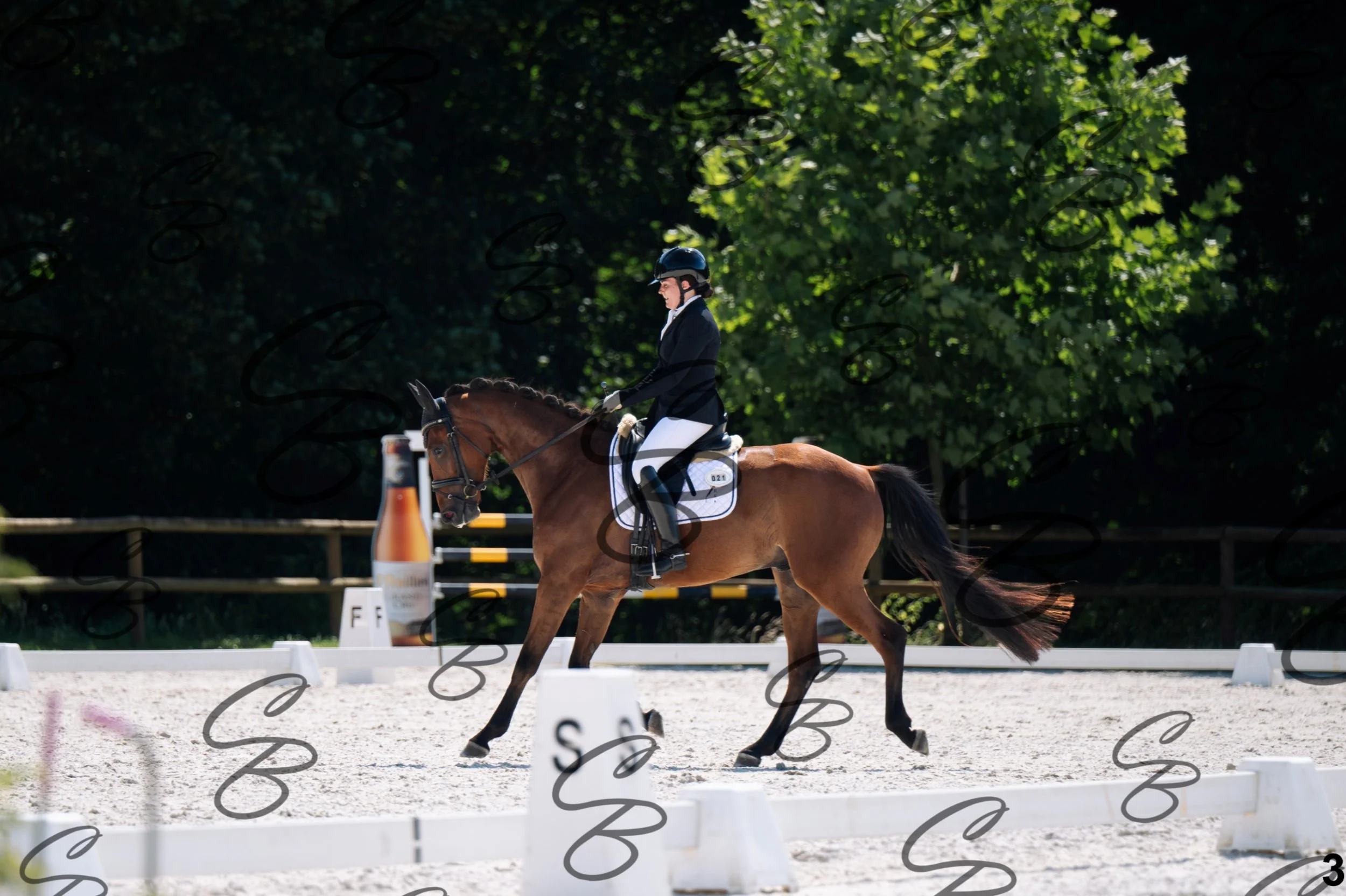 2026.07.12 - Jeunes chevaux - FEI 4YH Final Test-3.jpg