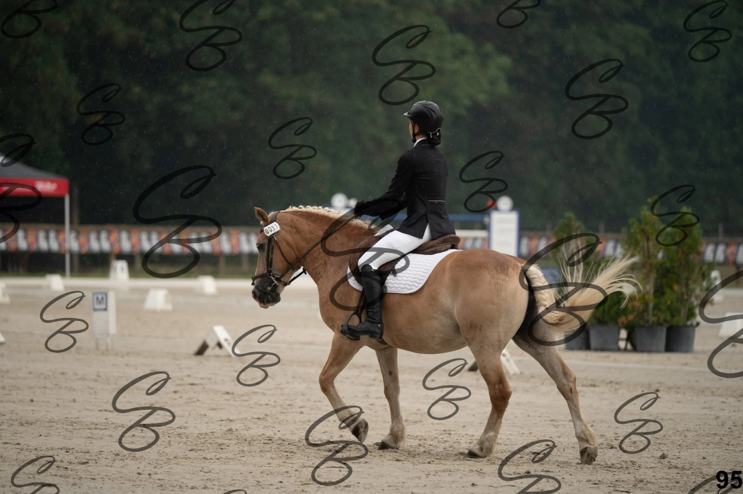 2026.08.15 - Louchier - GHO-134.jpg