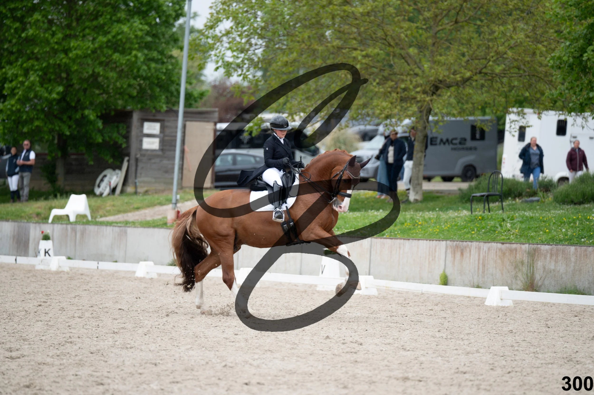 03052026-FLE_7514.jpg