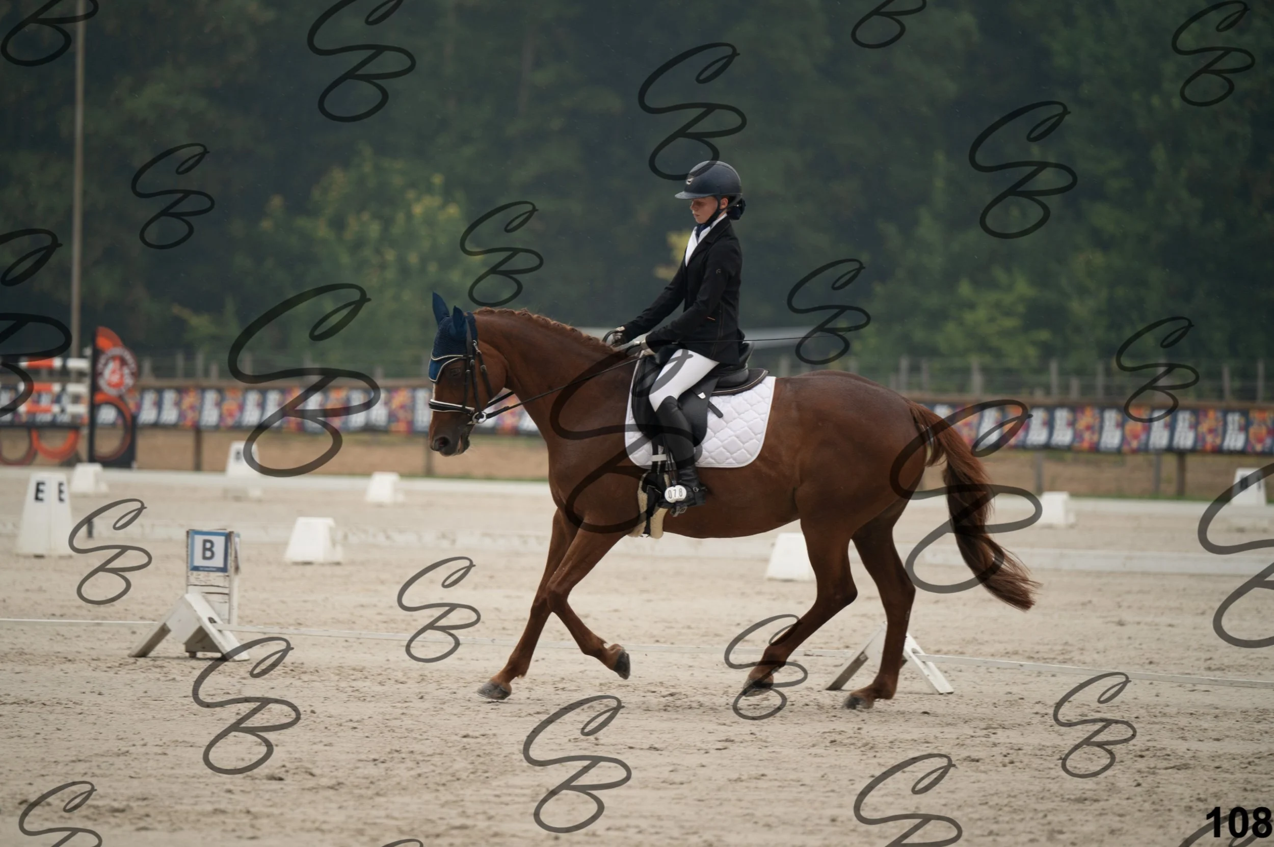 2026.08.15 - Louchier - GHO-152.jpg