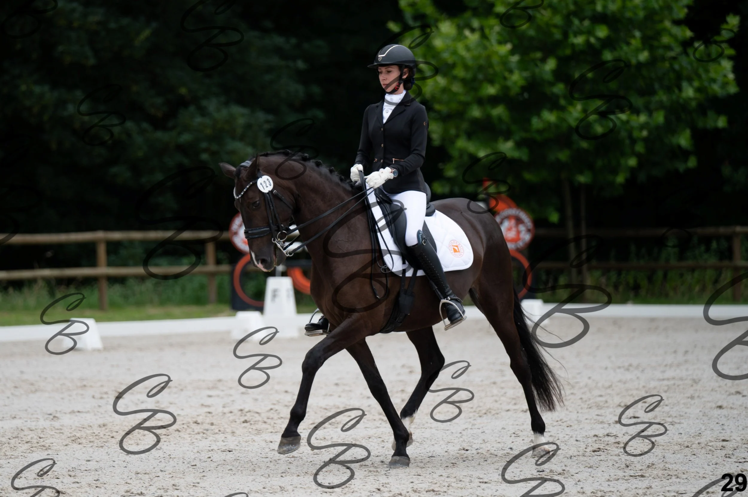 2026.07.04 - 4 Zazou De Page-3.jpg