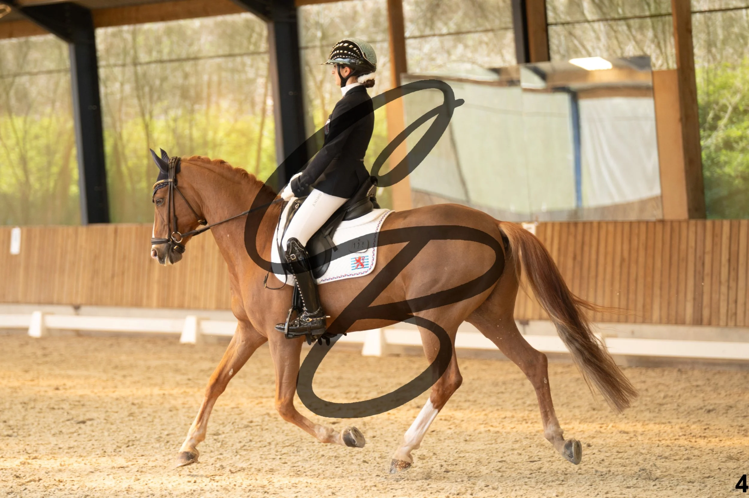 2026.03.22 - Niv3 - Pony individual test-4.jpg