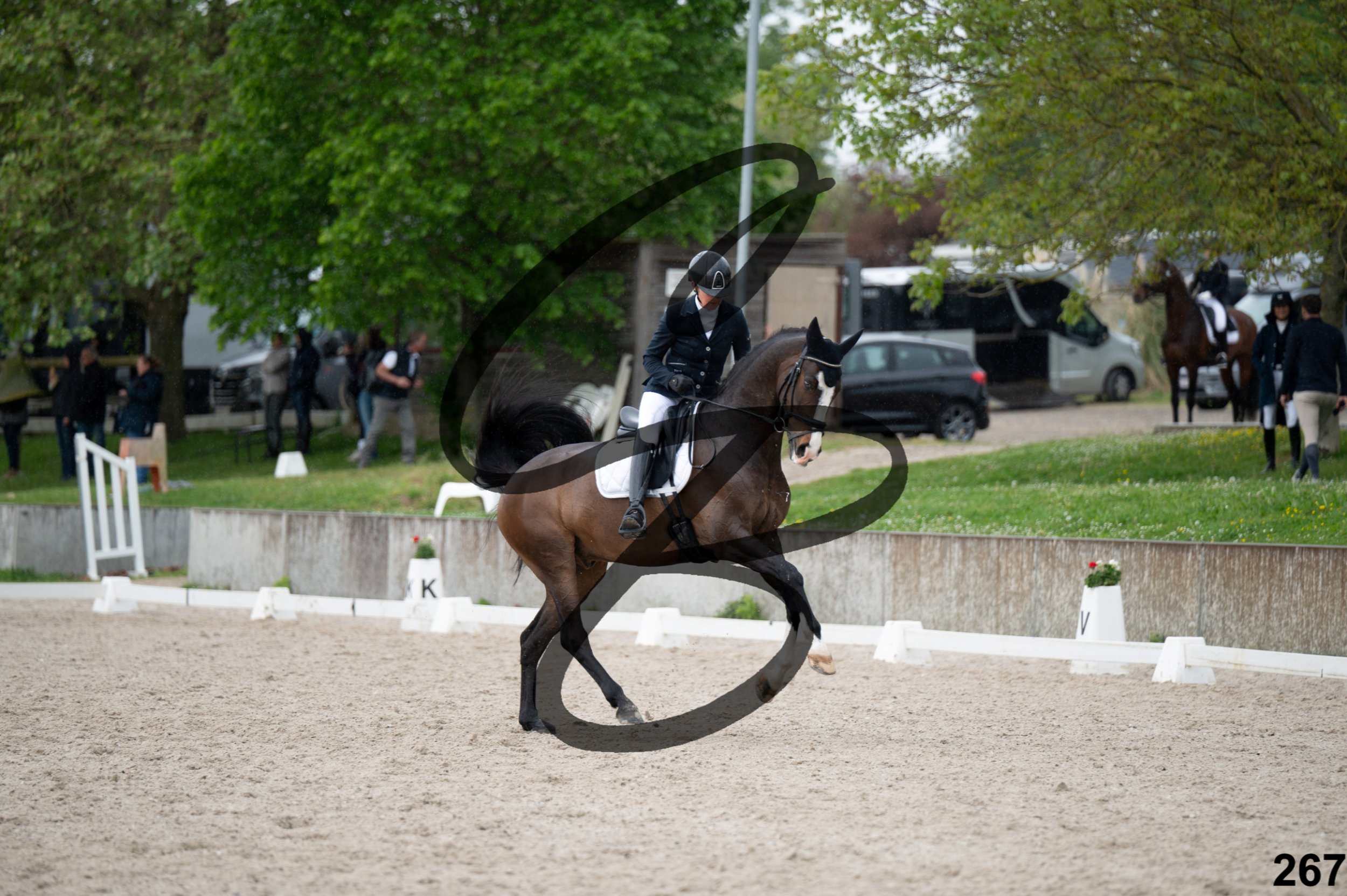 03052026-FLE_7333.jpg