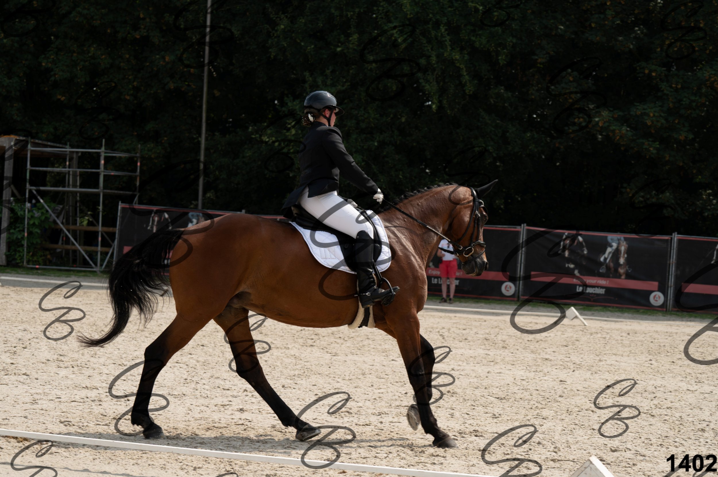 2026.08.15 - Louchier - GHO-1486.jpg