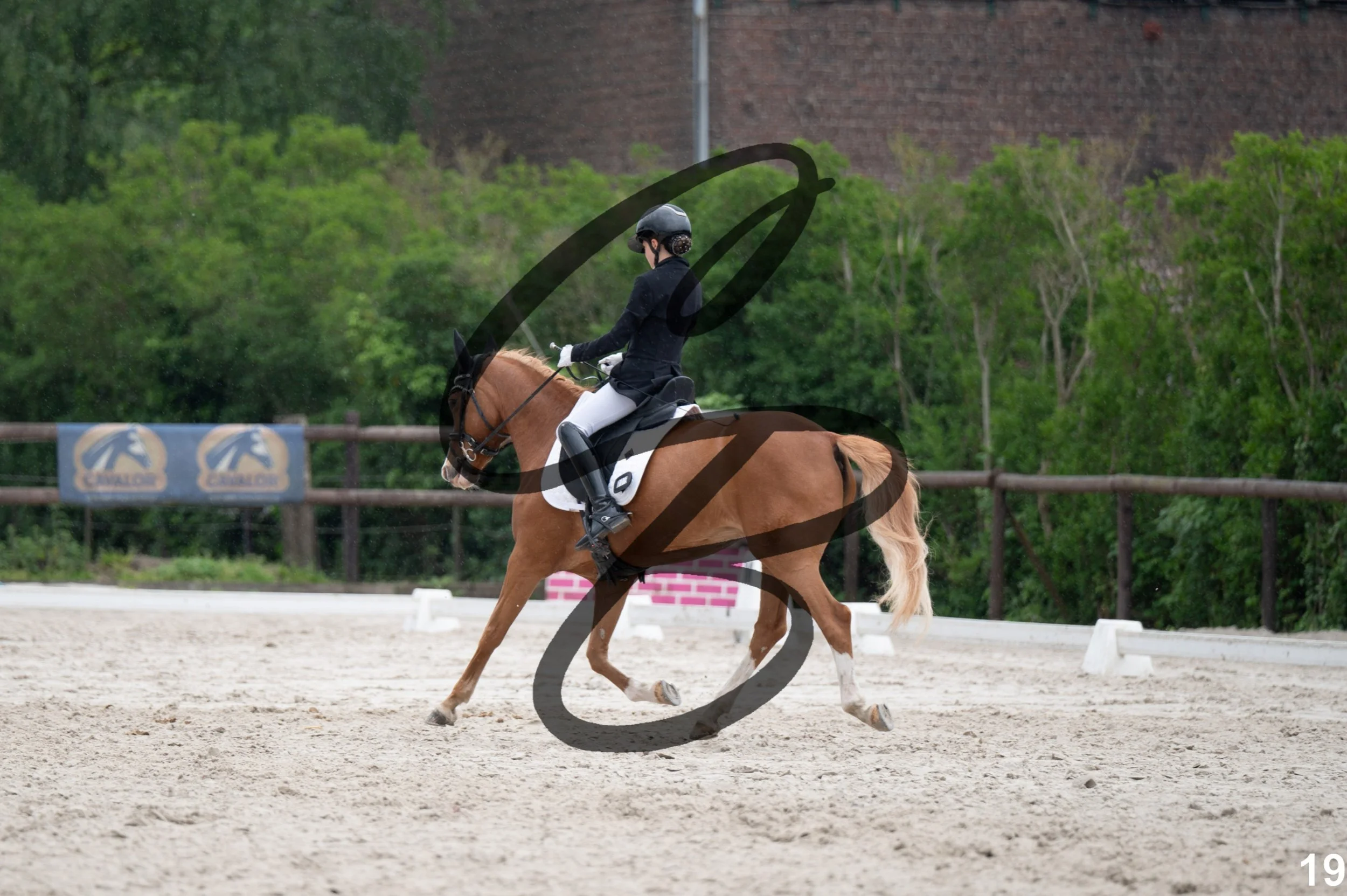 2026.05.10 - Nais-19.jpg