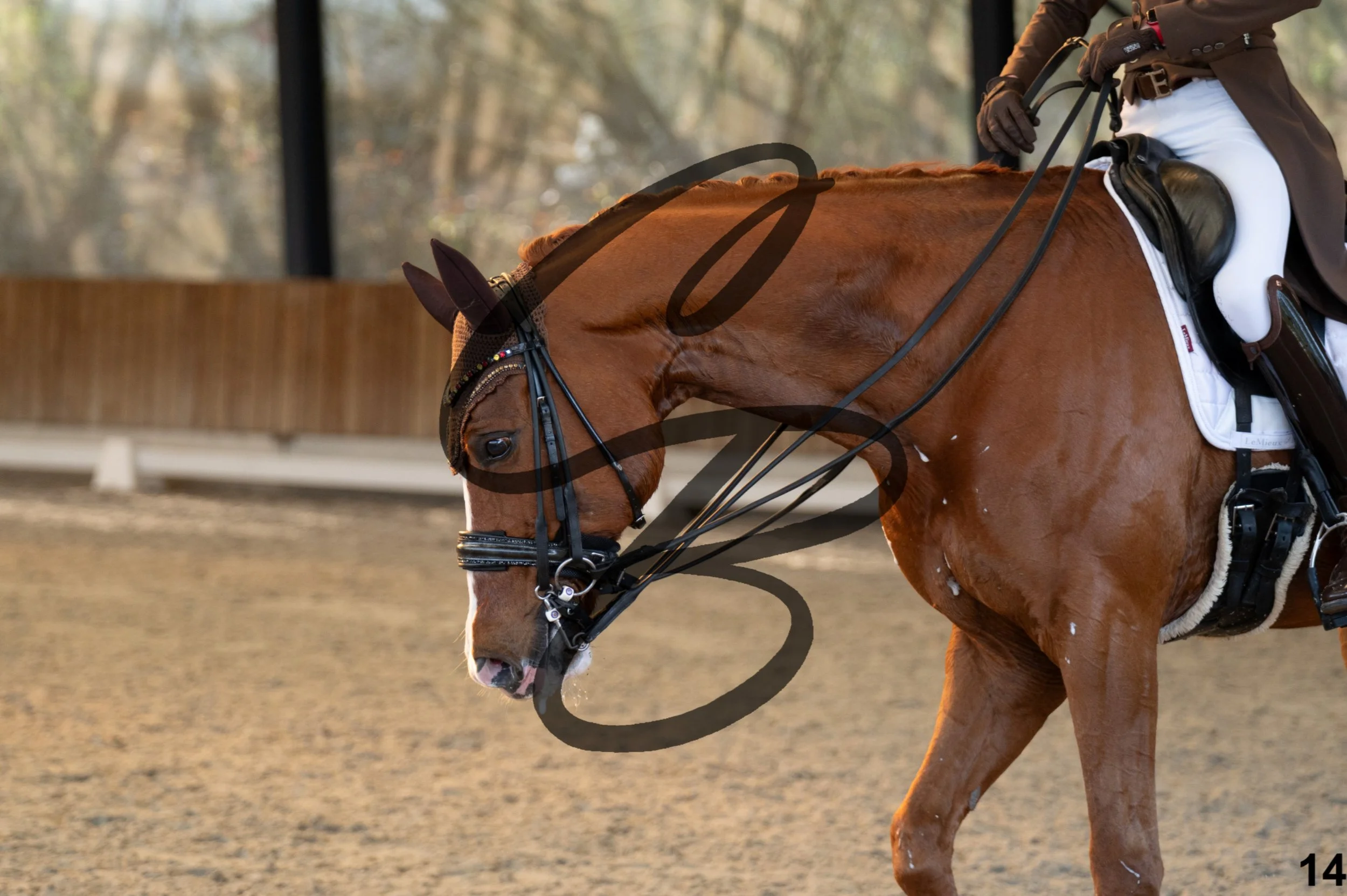 2026.03.22 - grand prix U25-14.jpg