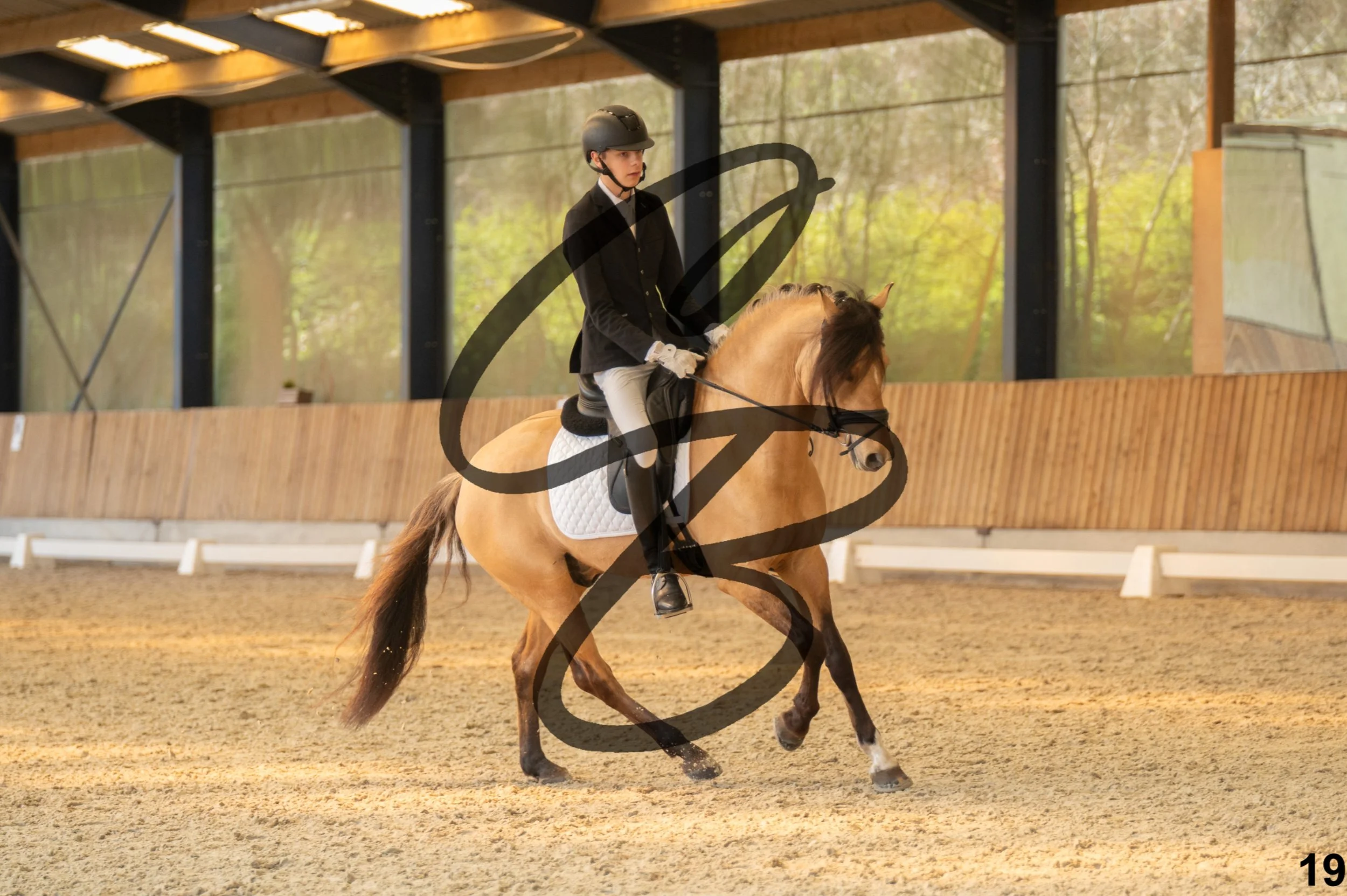 2026.03.22 - Niv3 - Pony individual test-19.jpg