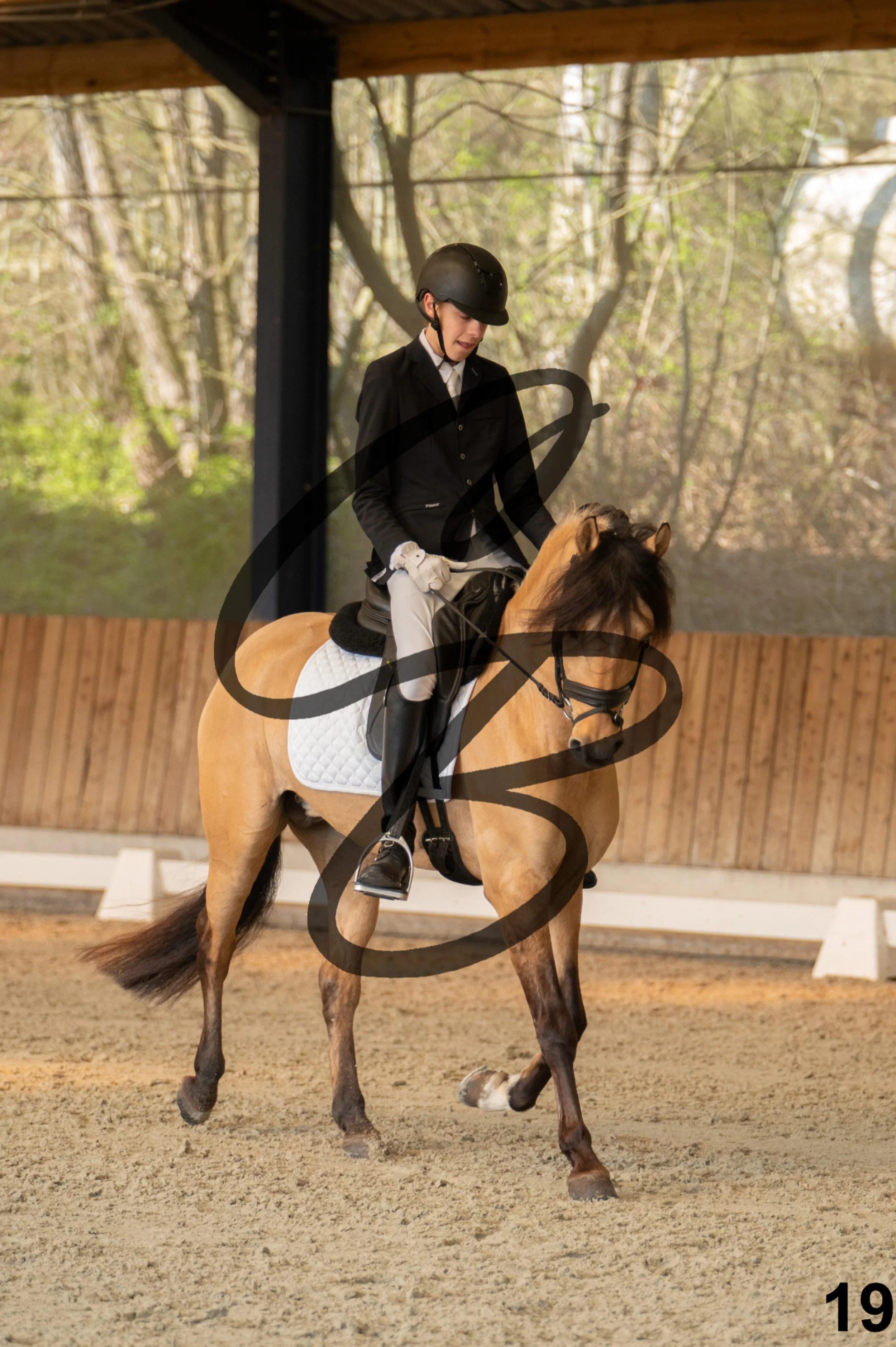 2026.03.22 - Niv3 - pony team test-19.jpg