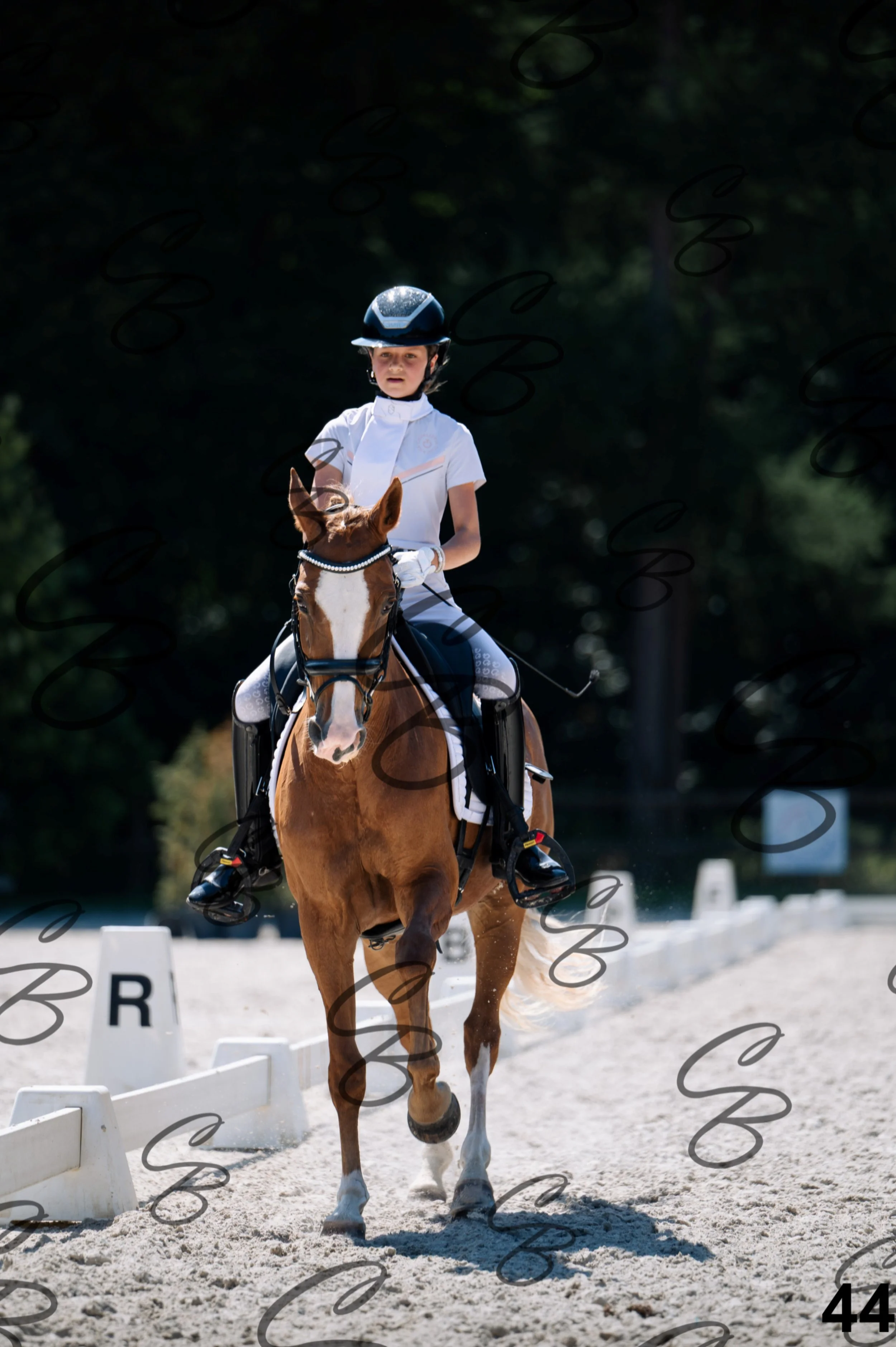 2026.07.12 - Niveau 2 - N2.4-44.jpg