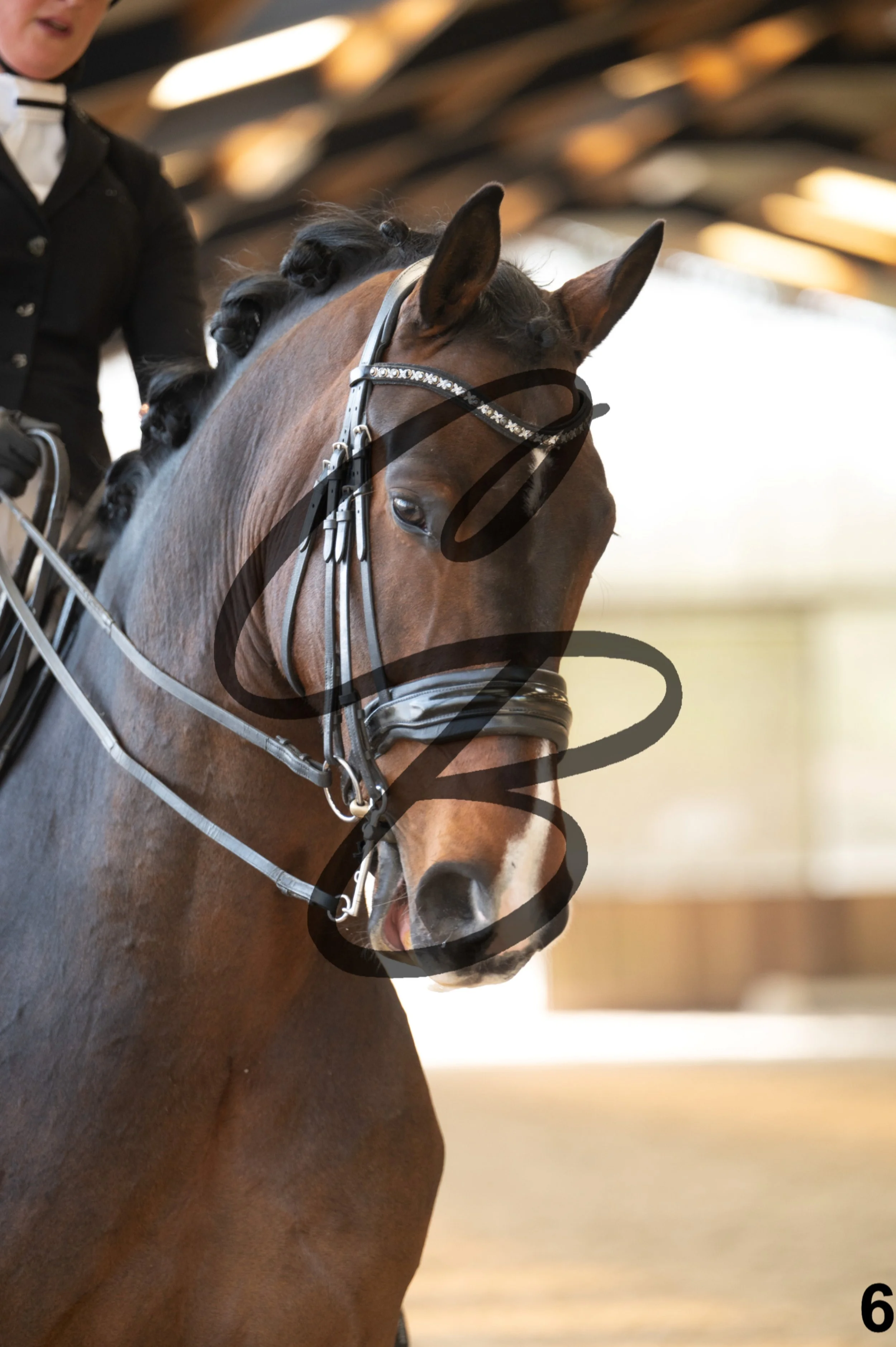 2026.03.22 - Grade 5 - grand prix test A-6.jpg