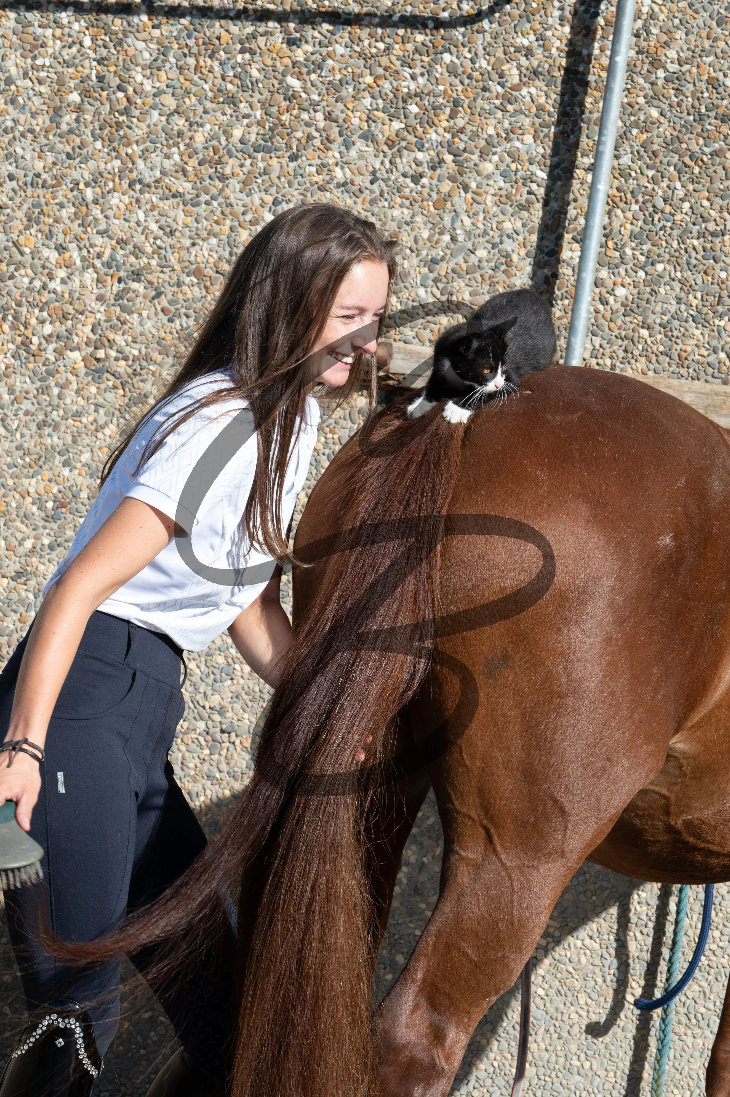 2025.09.19 - Shooting-77.jpg