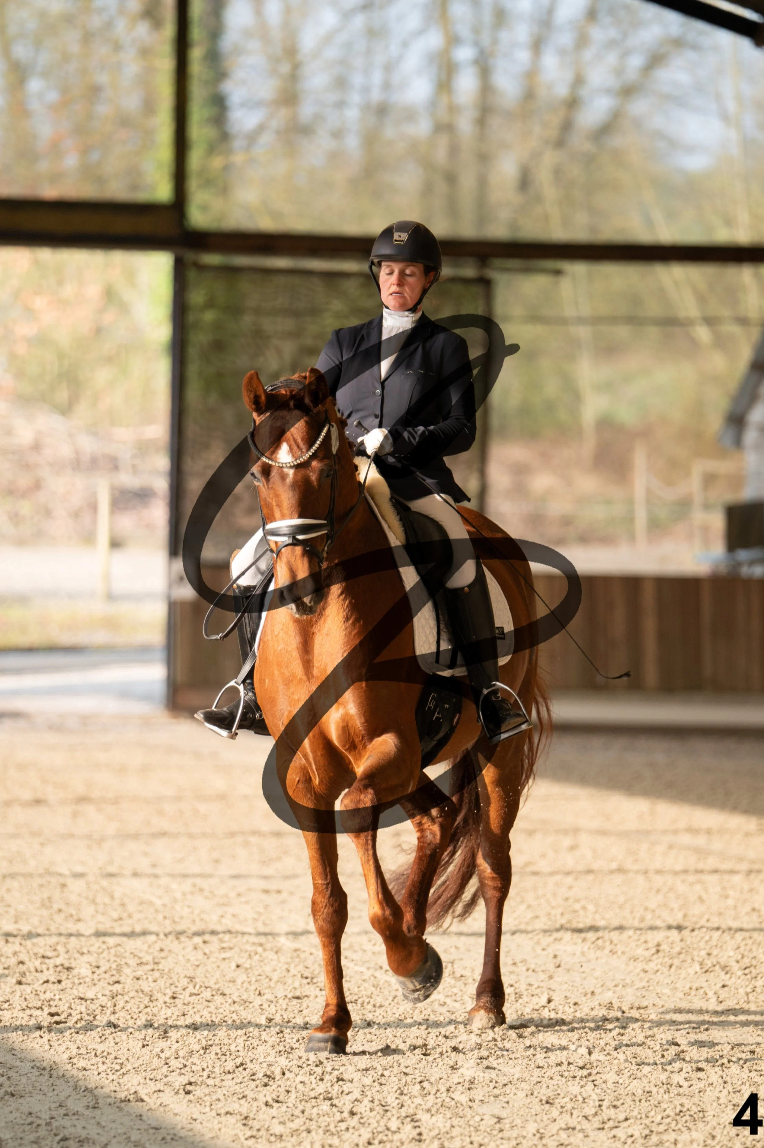 2026.03.22 - jeunes chevaux - 6ans-4.jpg