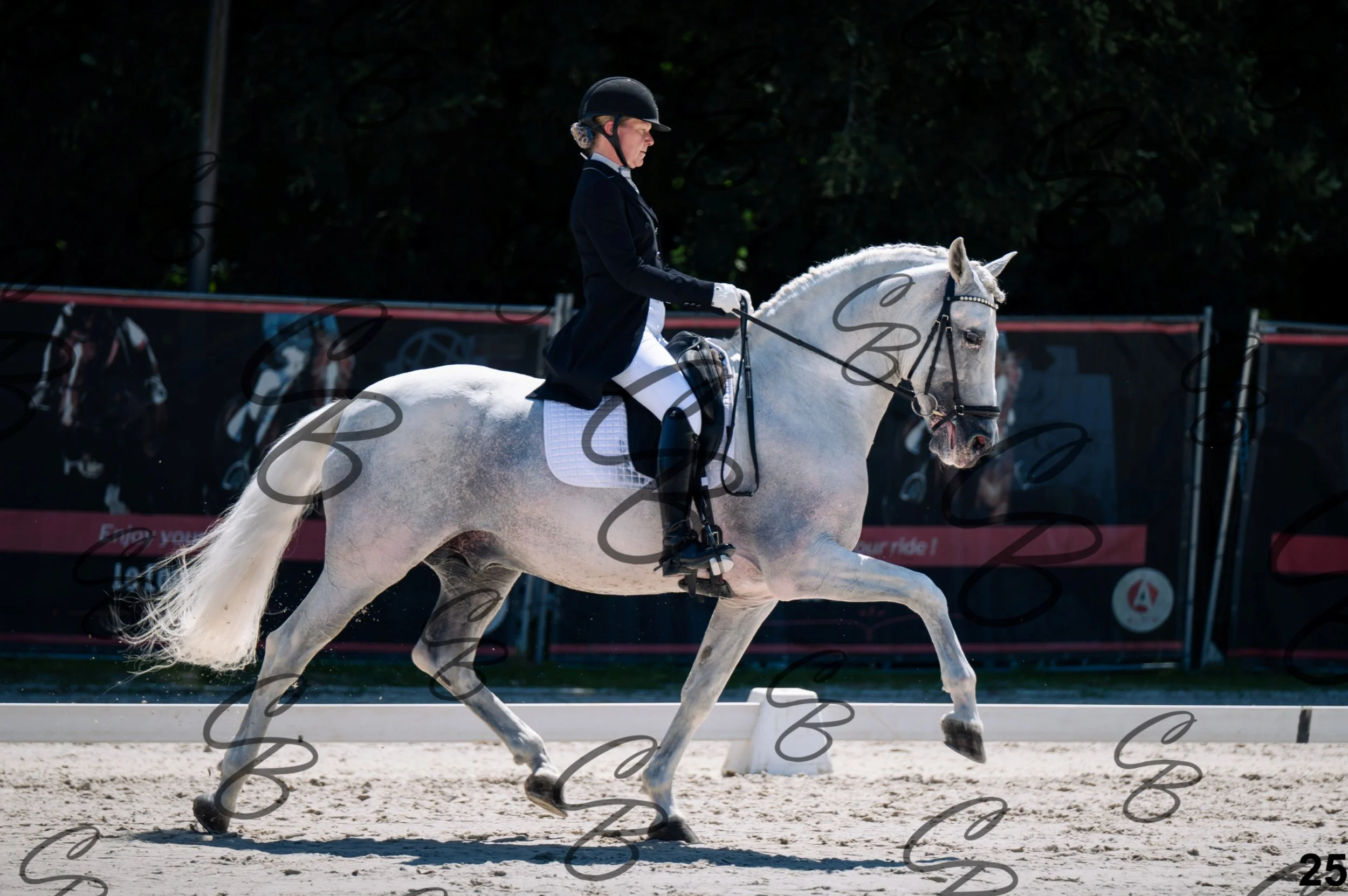2026.07.11 - 13 Reyale - Niveau 6 - REYALE-26.jpg