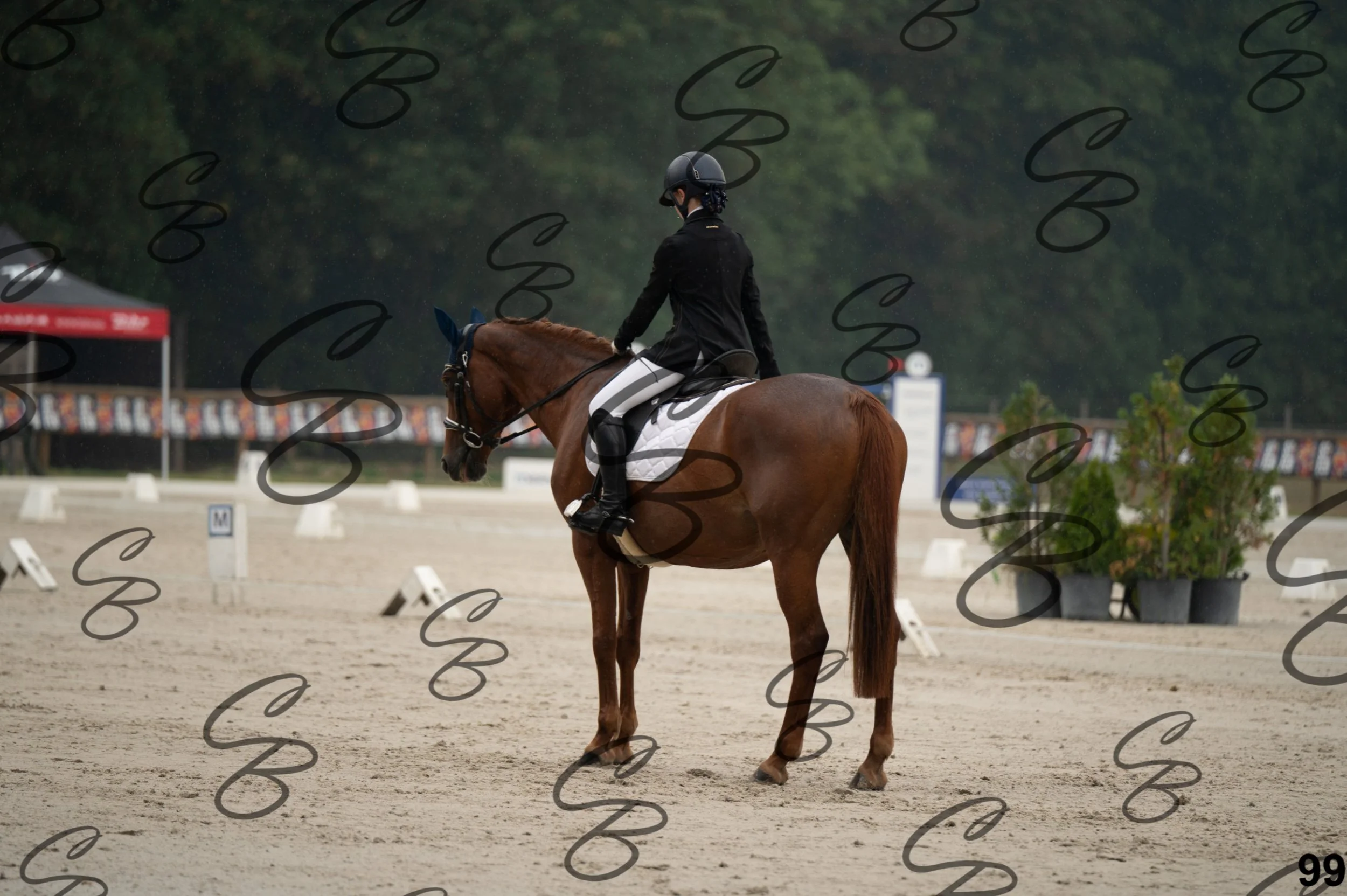 2026.08.15 - Louchier - GHO-140.jpg