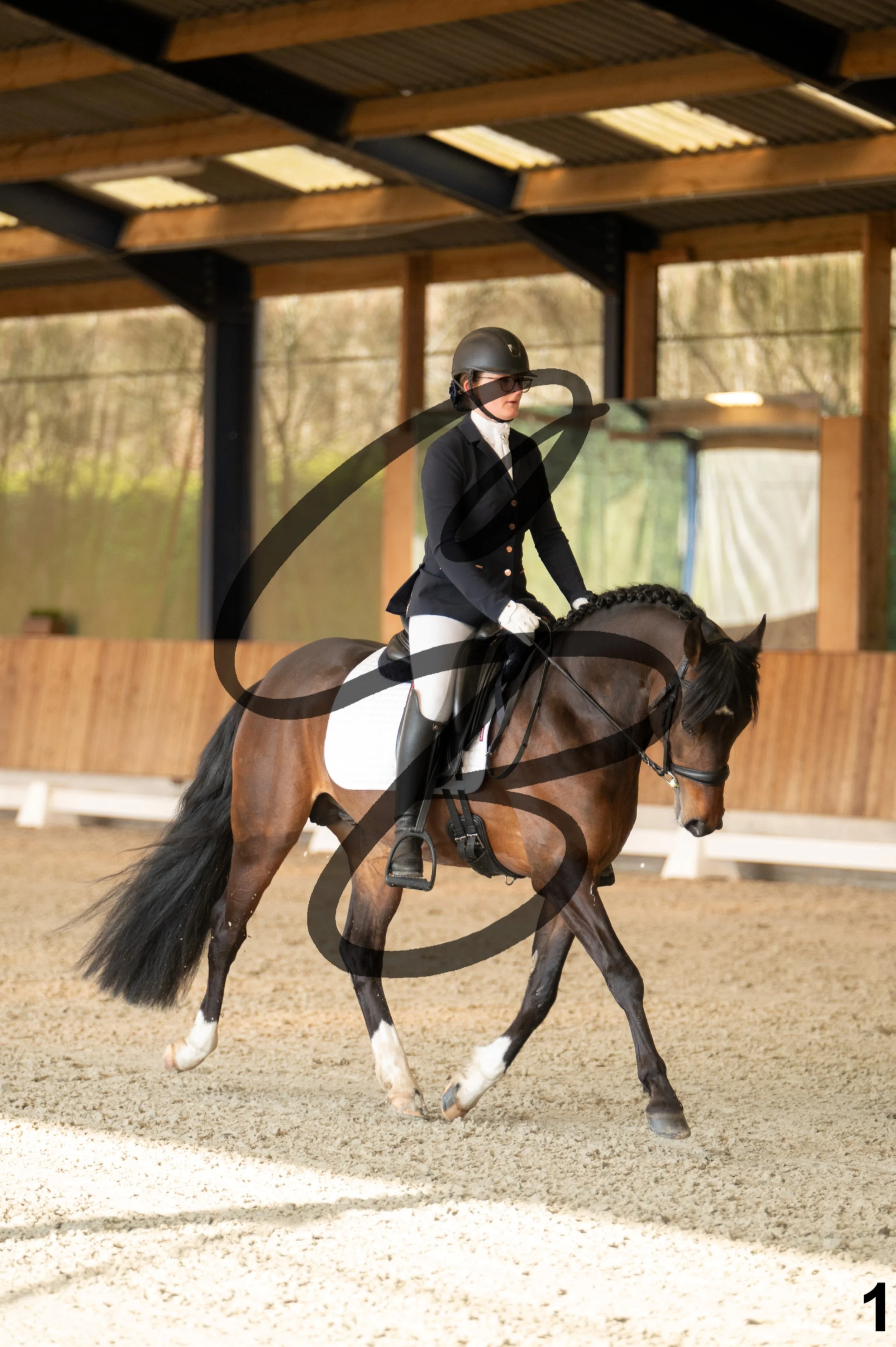 2026.03.22 - jeunes chevaux - 4ans - poneys-1.jpg