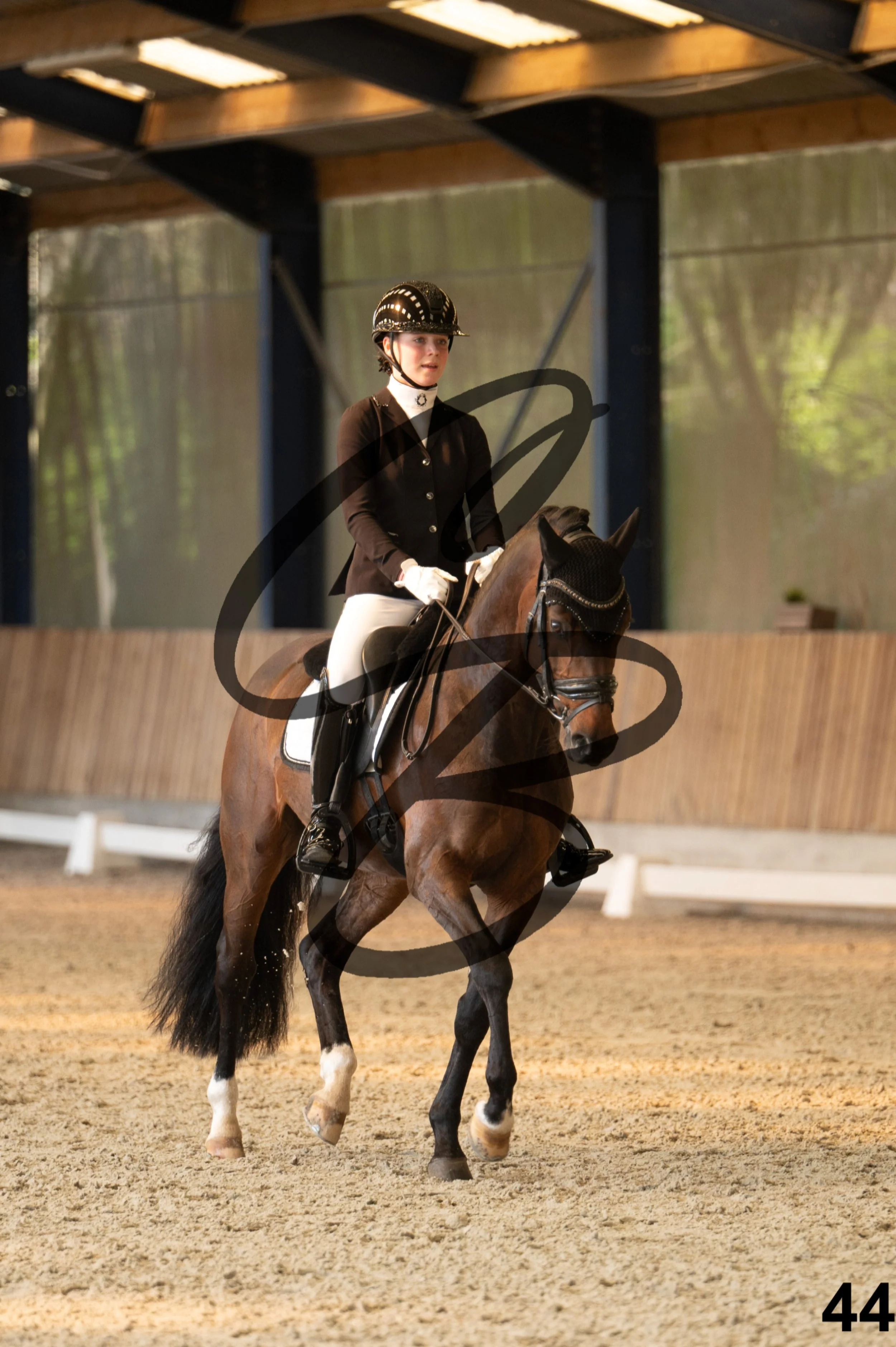 2026.03.22 - Niv3 - pony team test-44.jpg