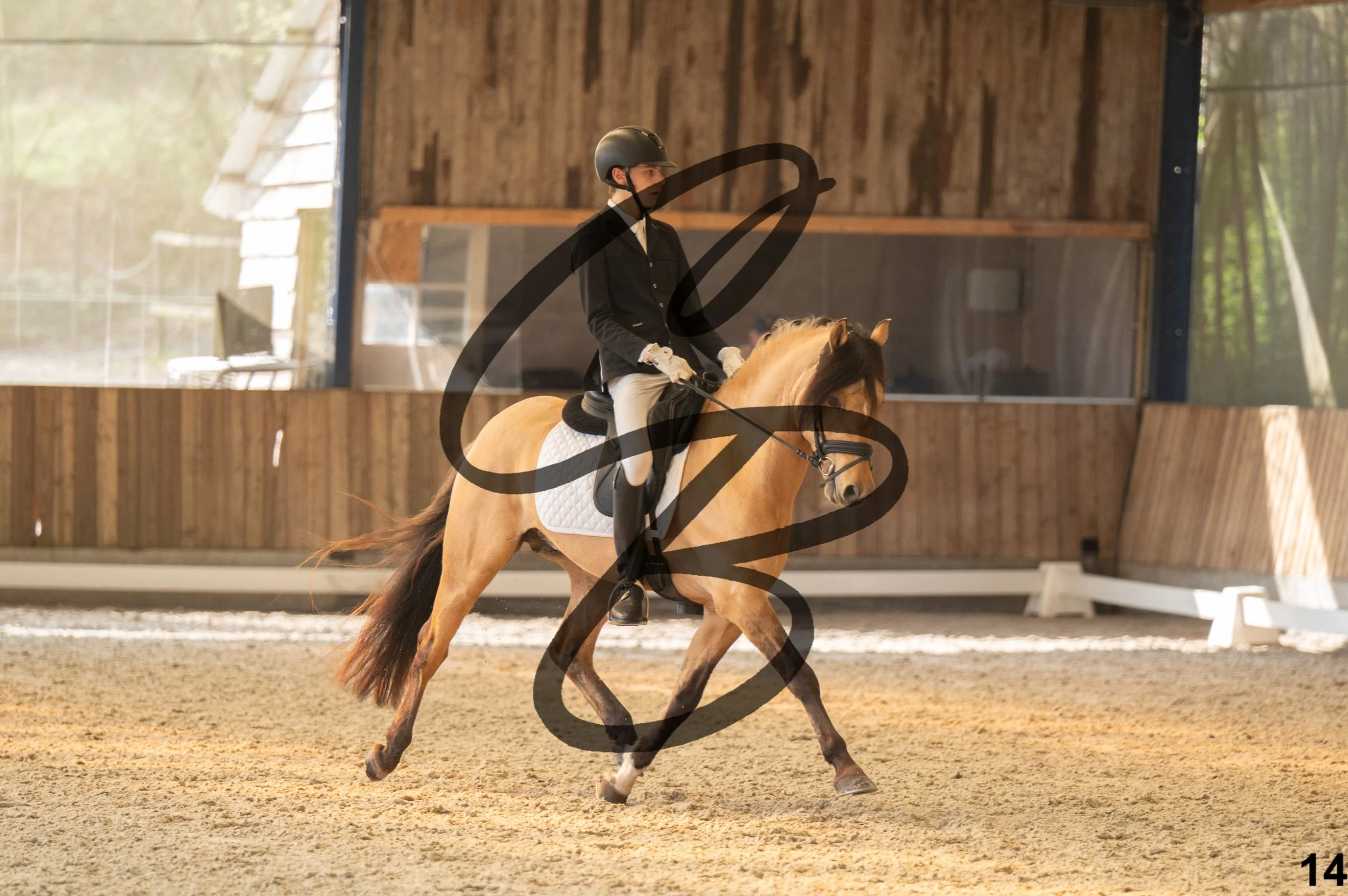 2026.03.22 - Niv3 - Pony individual test-14.jpg