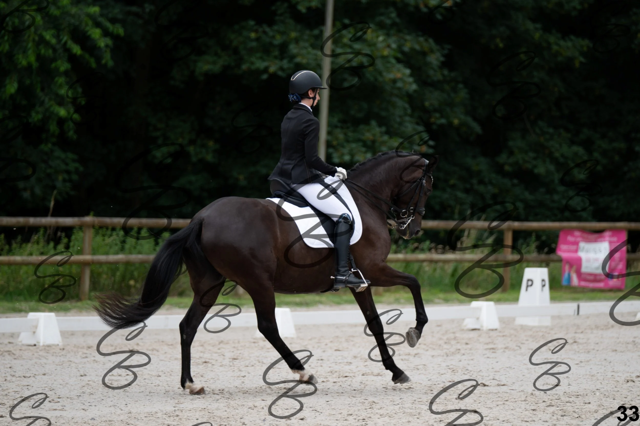 2026.07.04 - 4 Zazou De Page-7.jpg