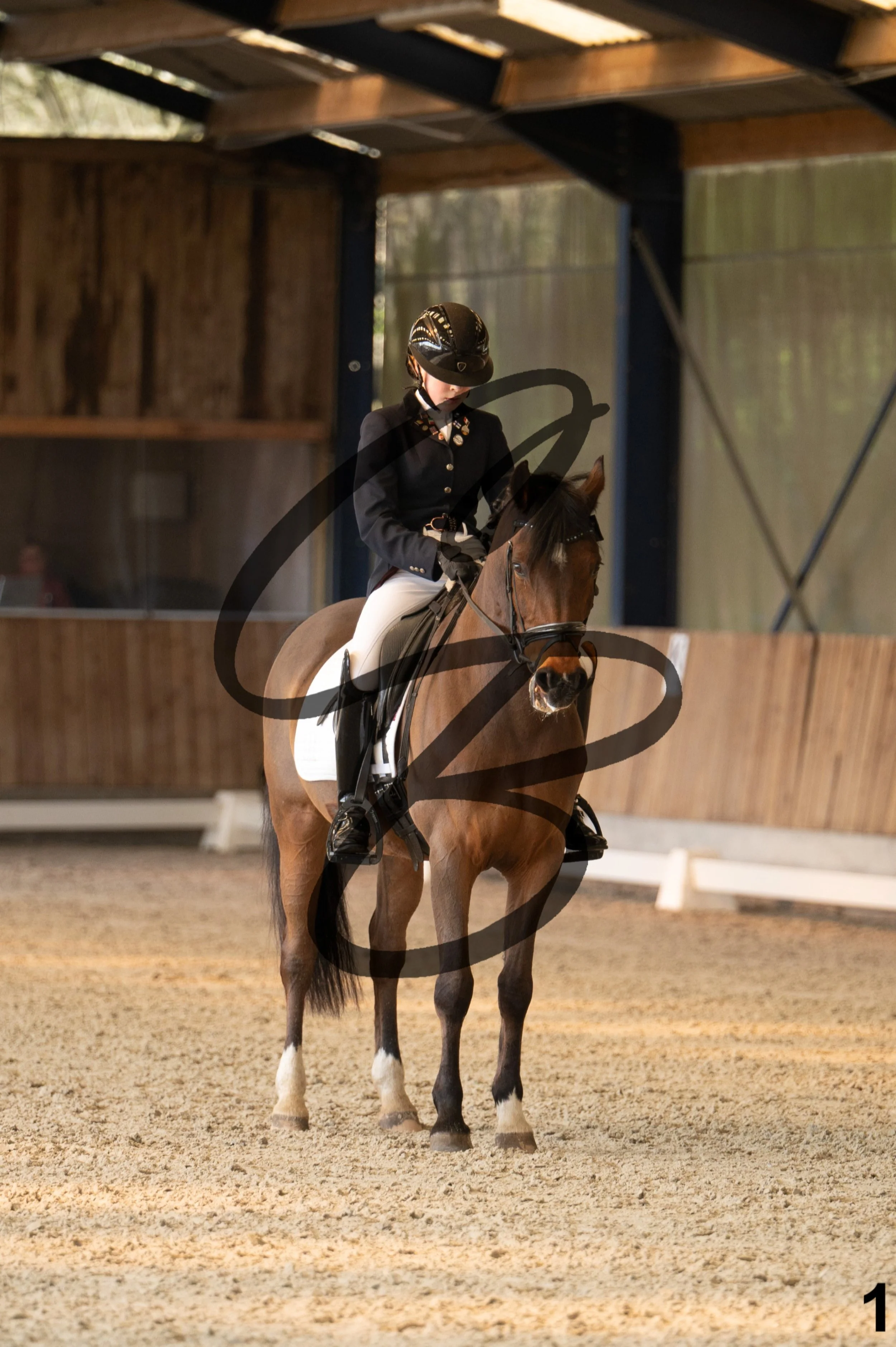 2026.03.22 - Niv3 - pony team test-1.jpg