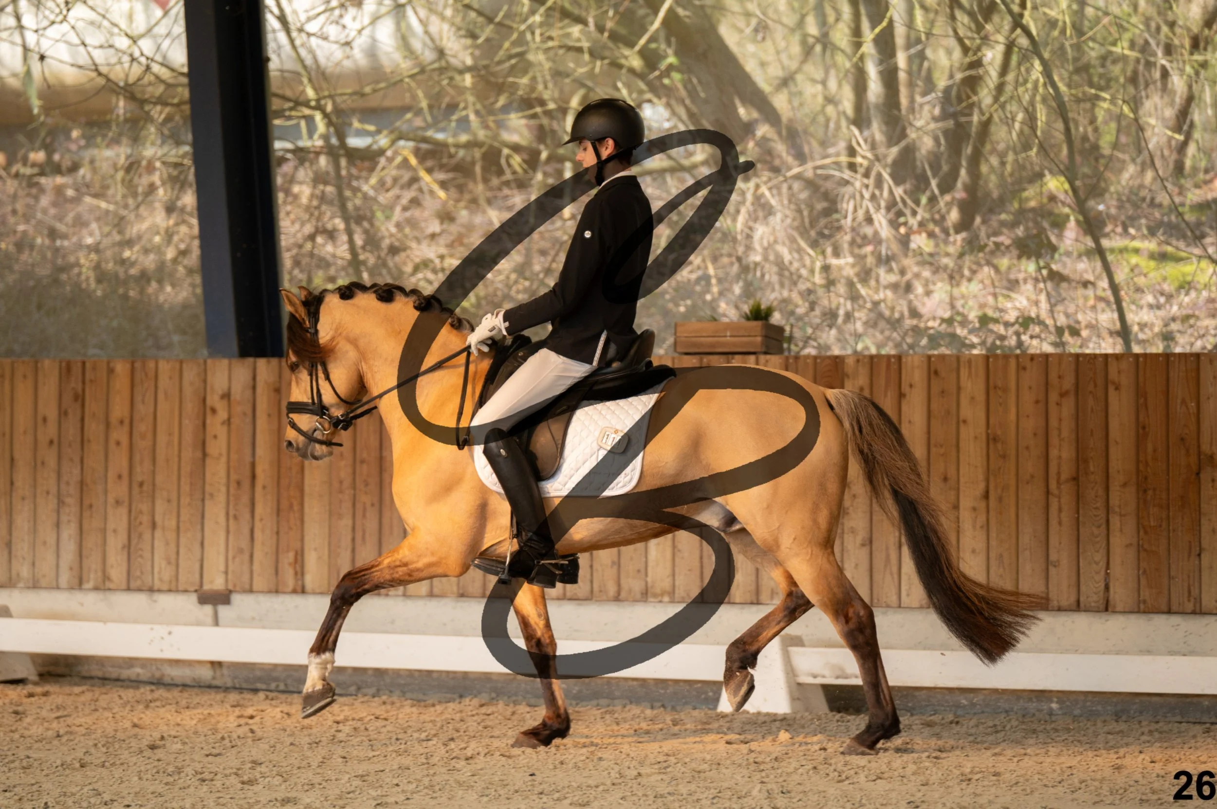 2026.03.22 - Niv3 - pony team test-26.jpg