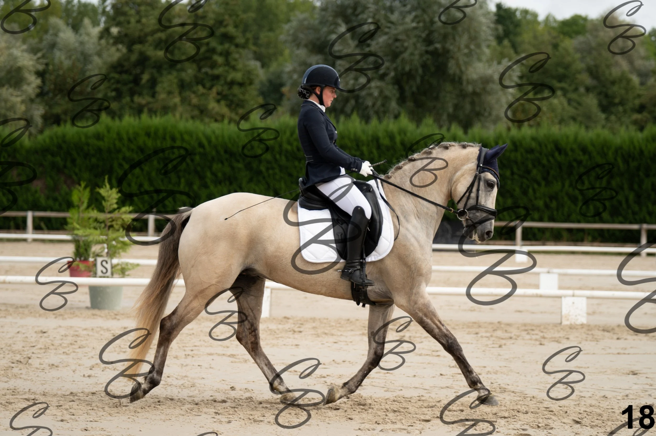 2026.09.20 - Djessy-18.jpg