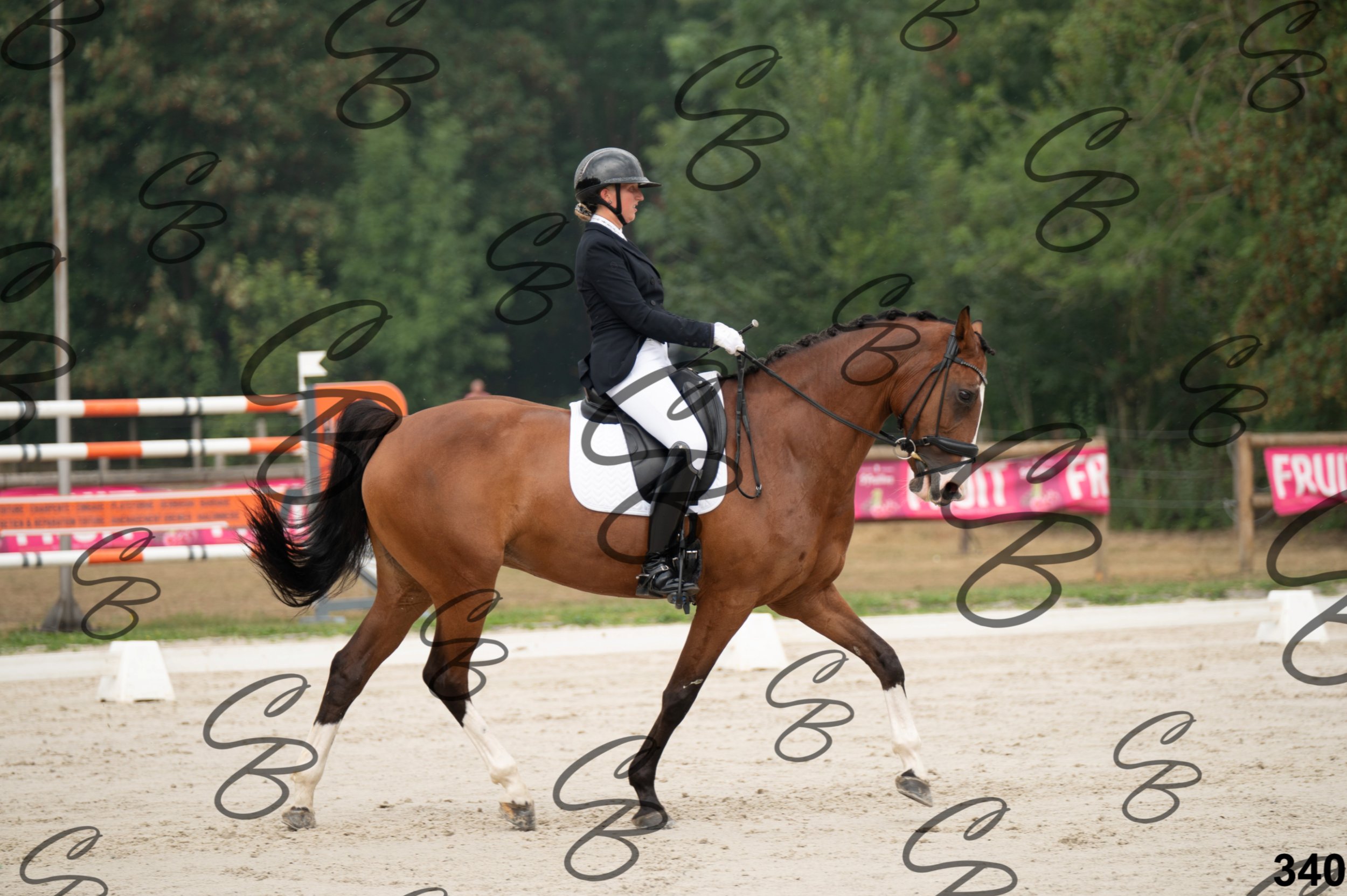 2026.08.15 - Louchier - GHO-509.jpg