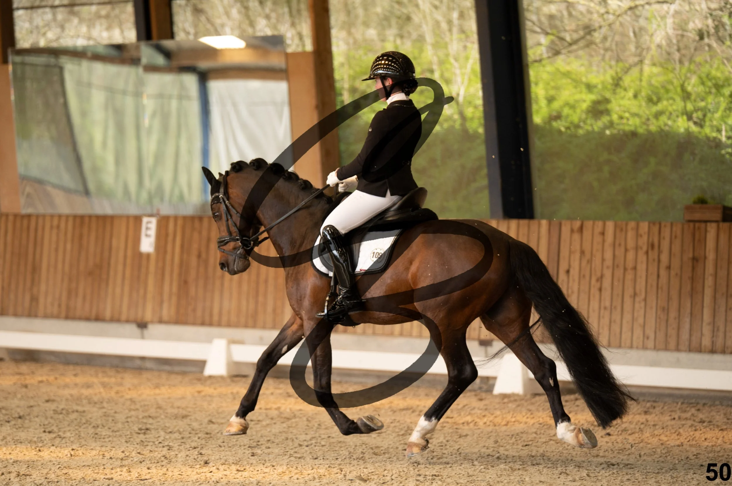 2026.03.22 - Niv3 - pony team test-50.jpg