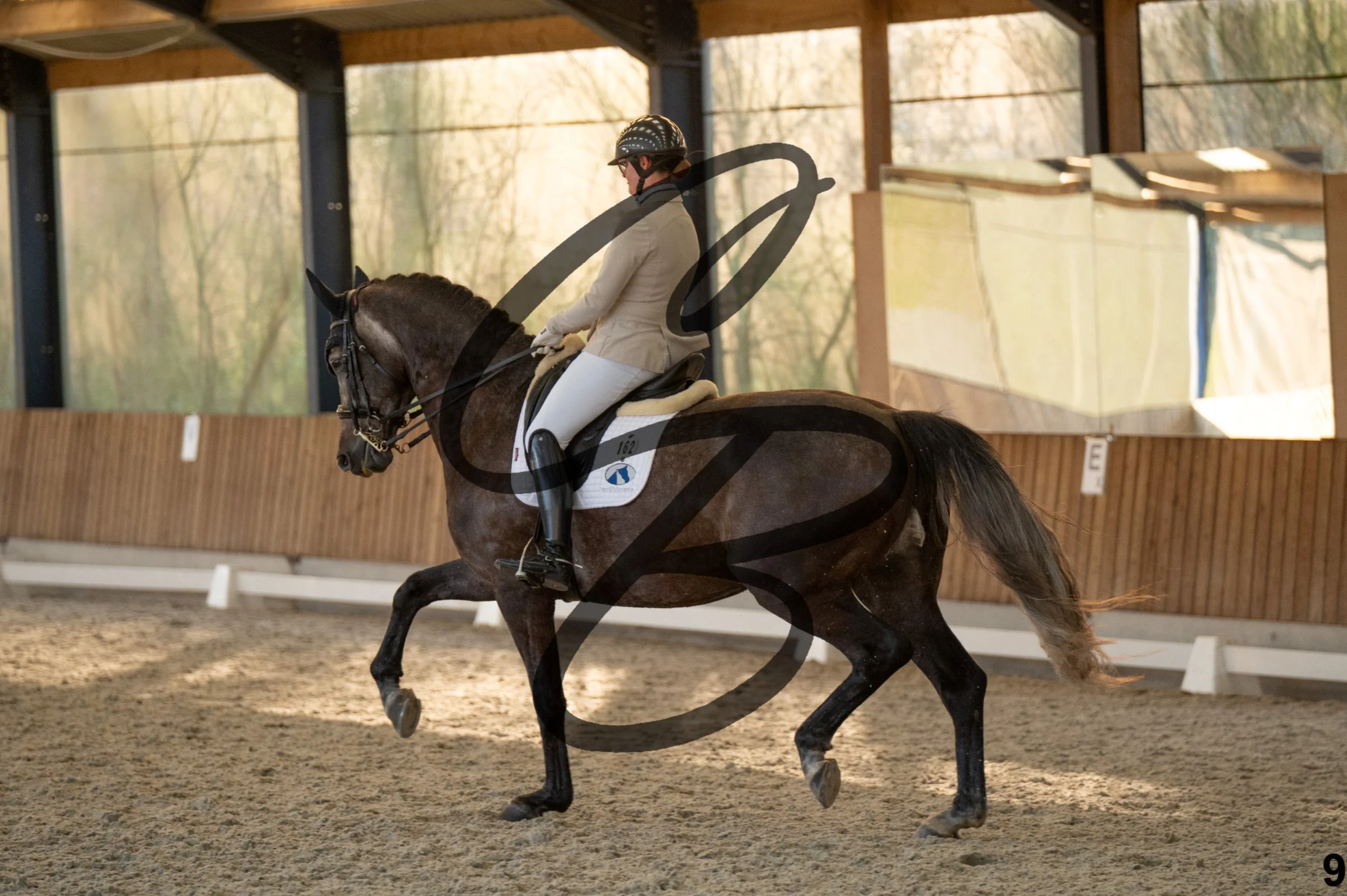 2026.03.22 - niv4.2-9.jpg