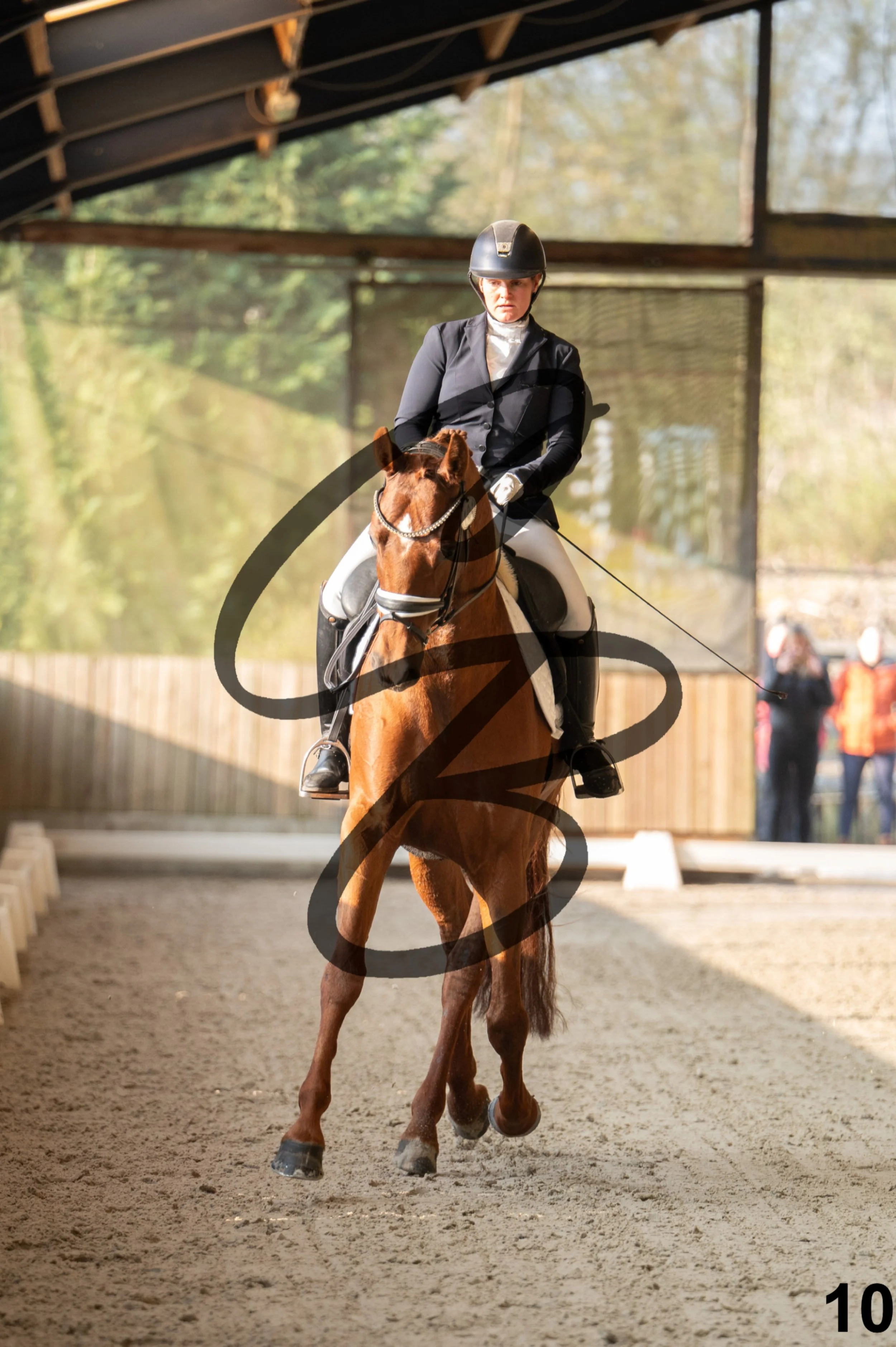 2026.03.22 - jeunes chevaux - 6ans-10.jpg