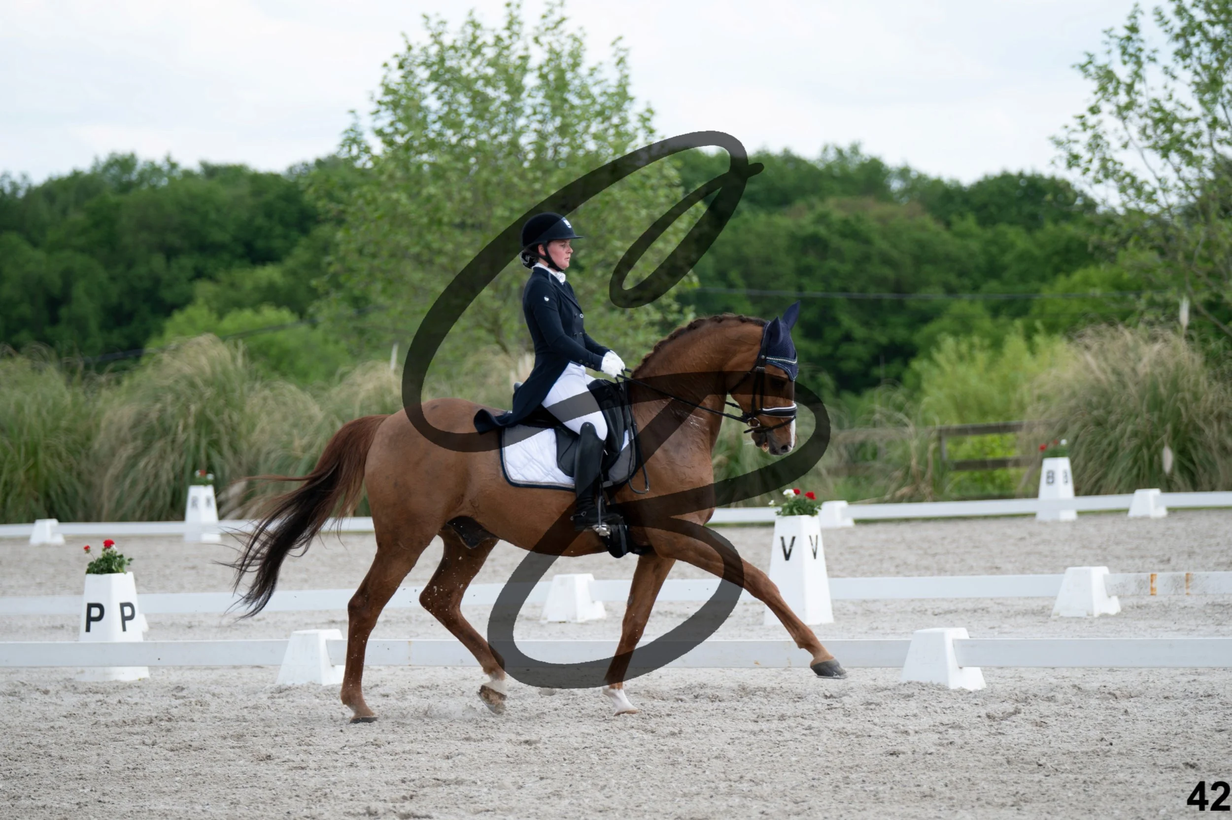 2026.05.02 - Djessy-25.jpg
