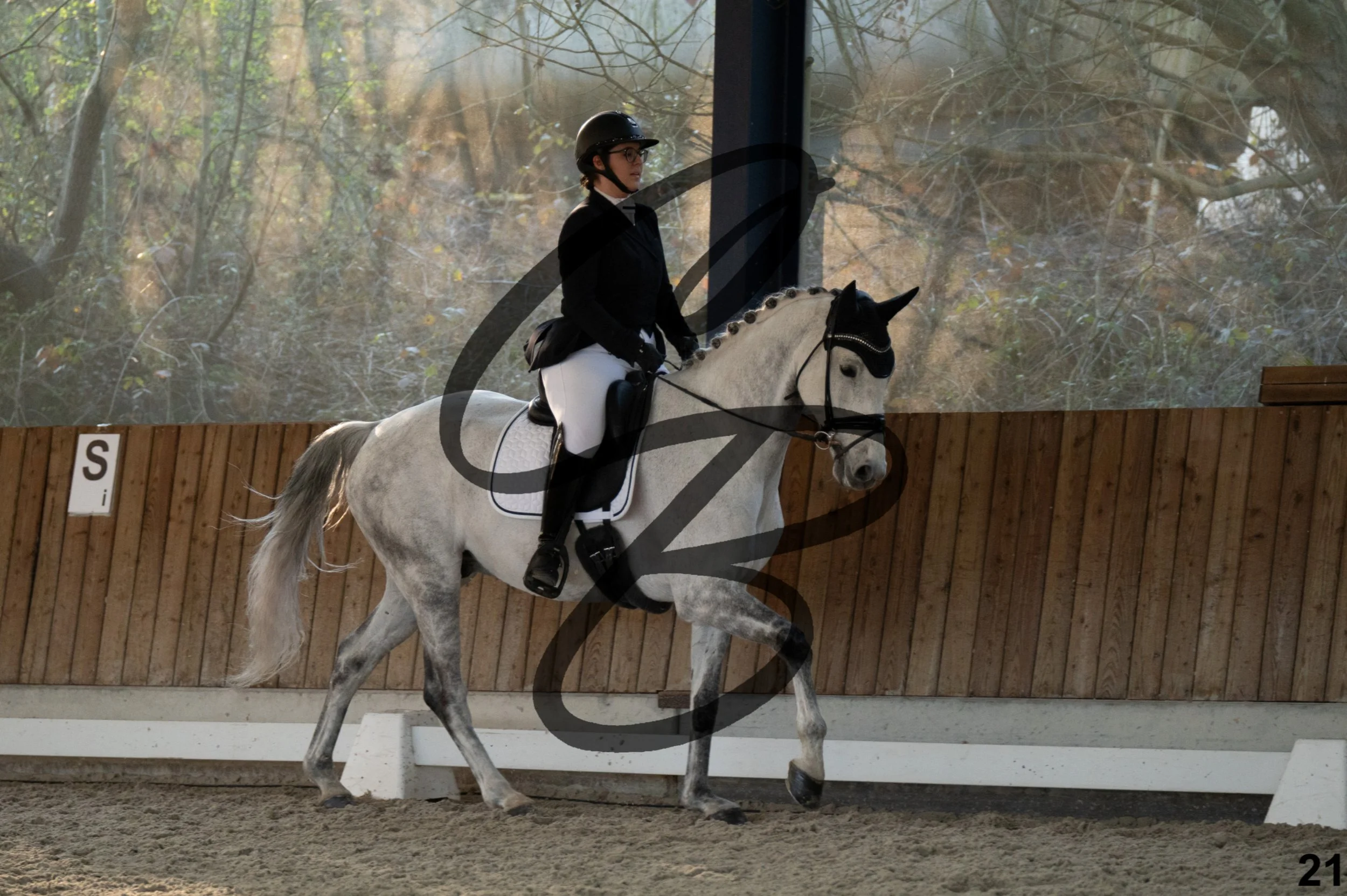 2026.03.22 - niv4.2-21.jpg