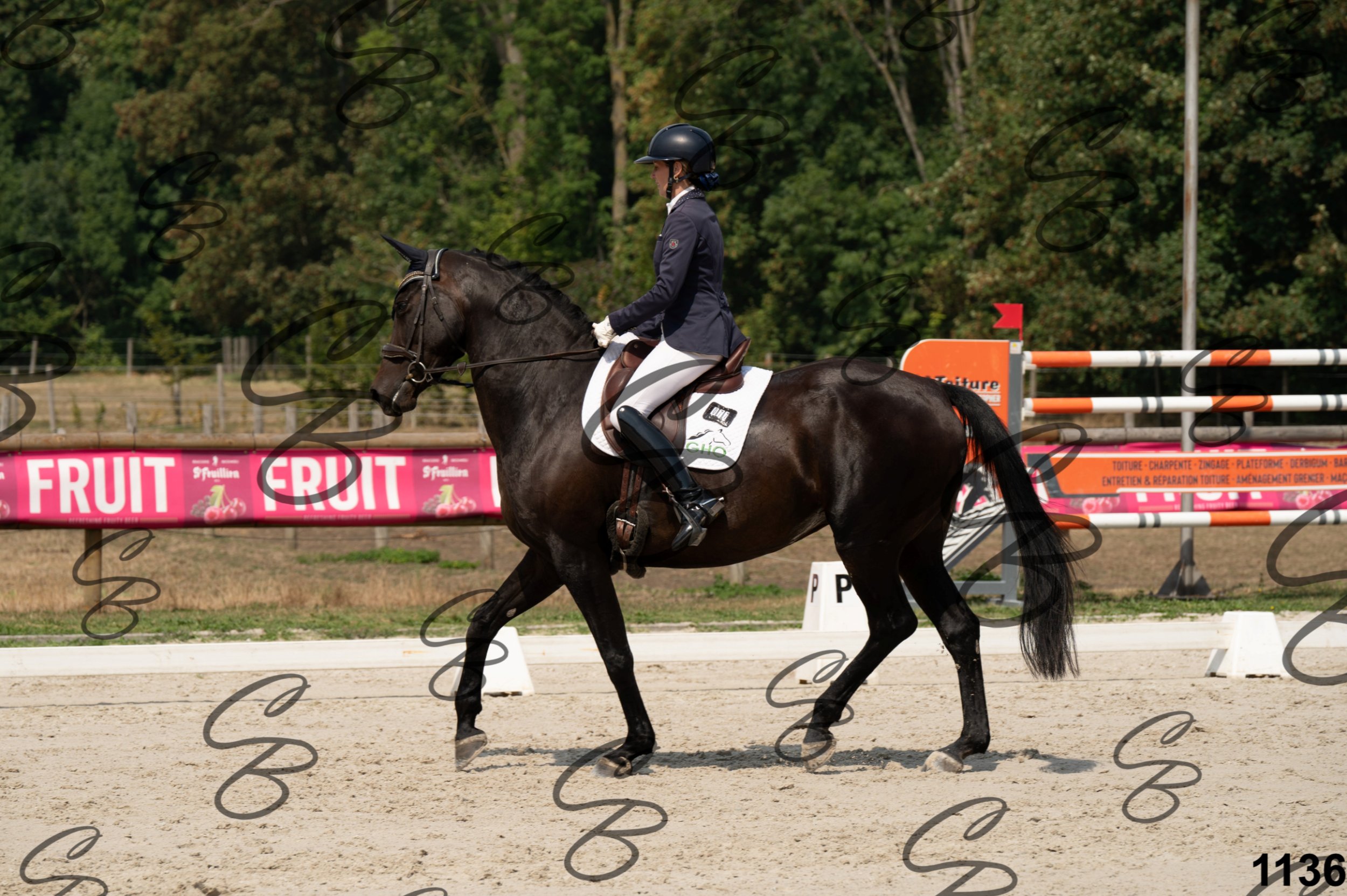 2026.08.15 - Louchier - GHO-1442.jpg