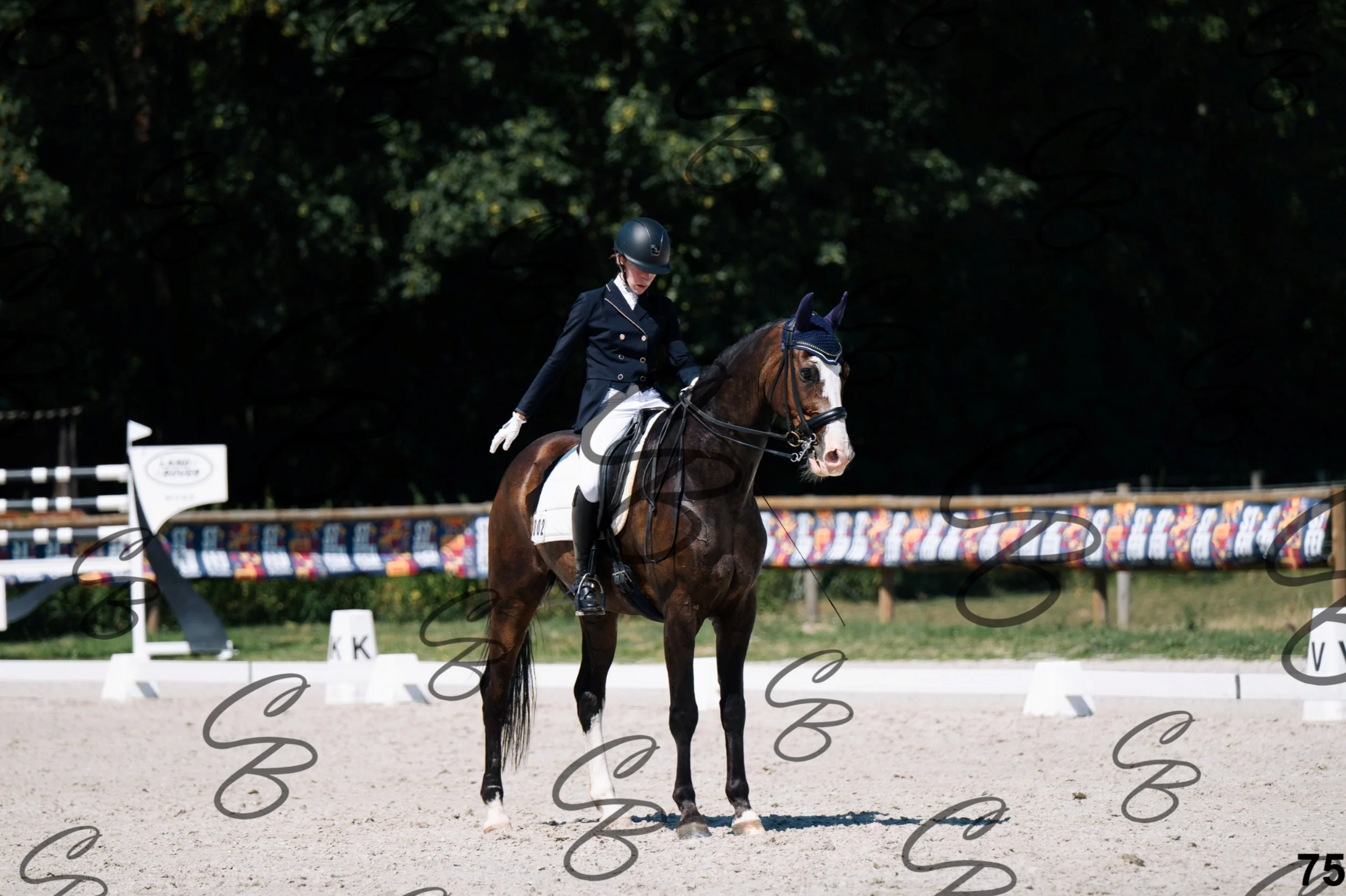 2026.07.12 - Niveau 4 - N4.3-75.jpg